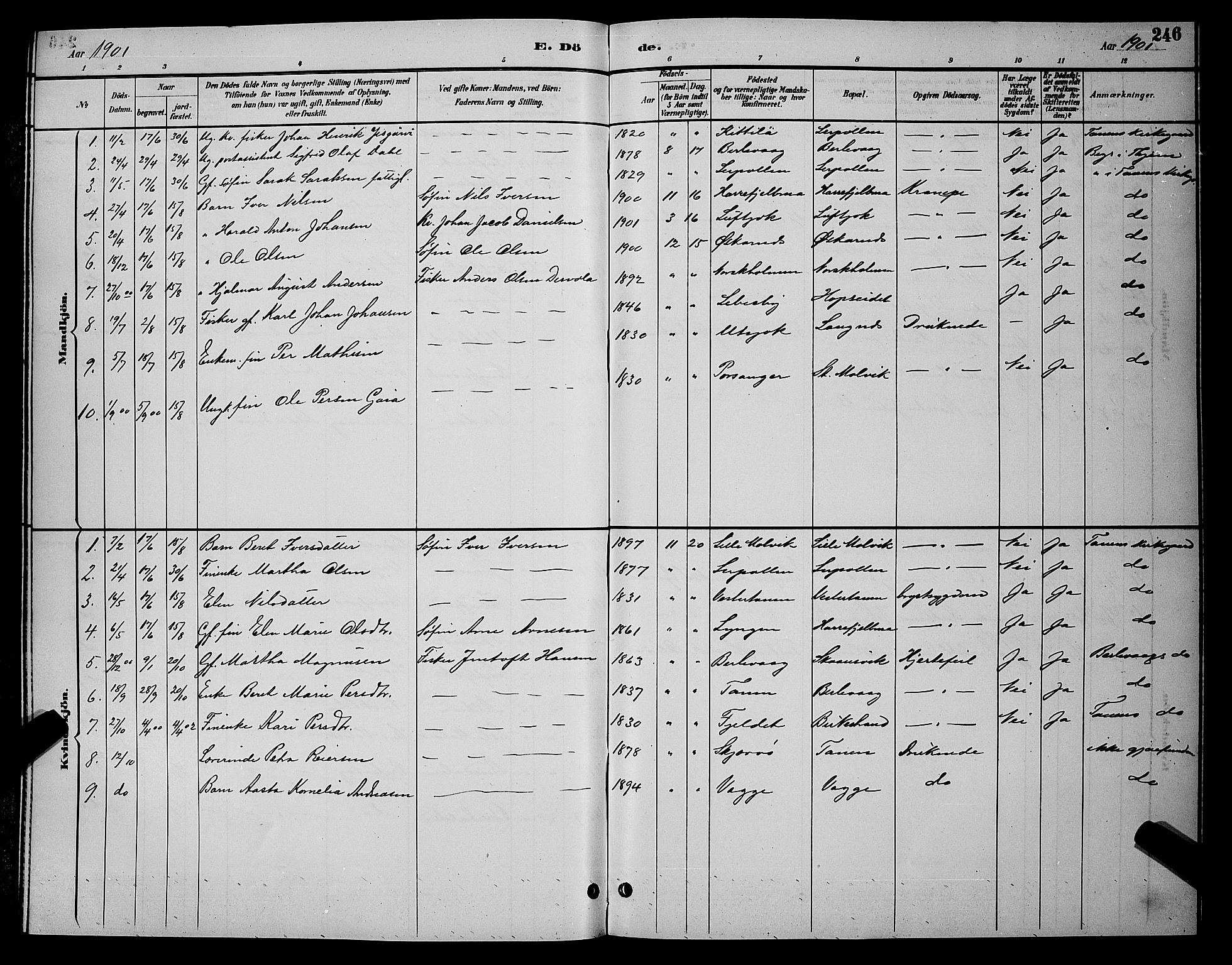 Tana sokneprestkontor, SATØ/S-1334/H/Hb/L0004klokker: Parish register (copy) no. 4, 1890-1903, p. 246