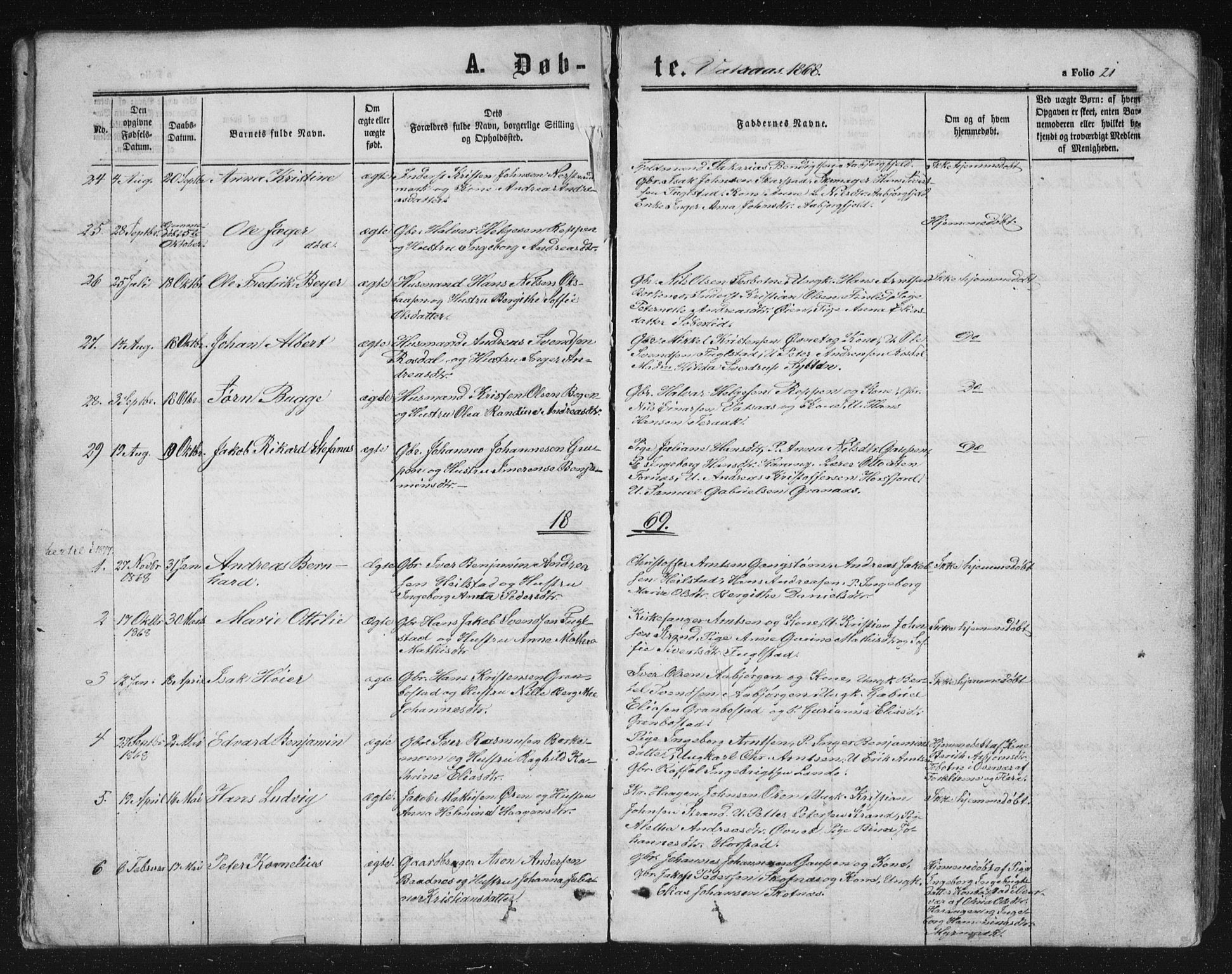 Ministerialprotokoller, klokkerbøker og fødselsregistre - Nordland, AV/SAT-A-1459/810/L0158: Parish register (copy) no. 810C02 /1, 1863-1883, p. 21