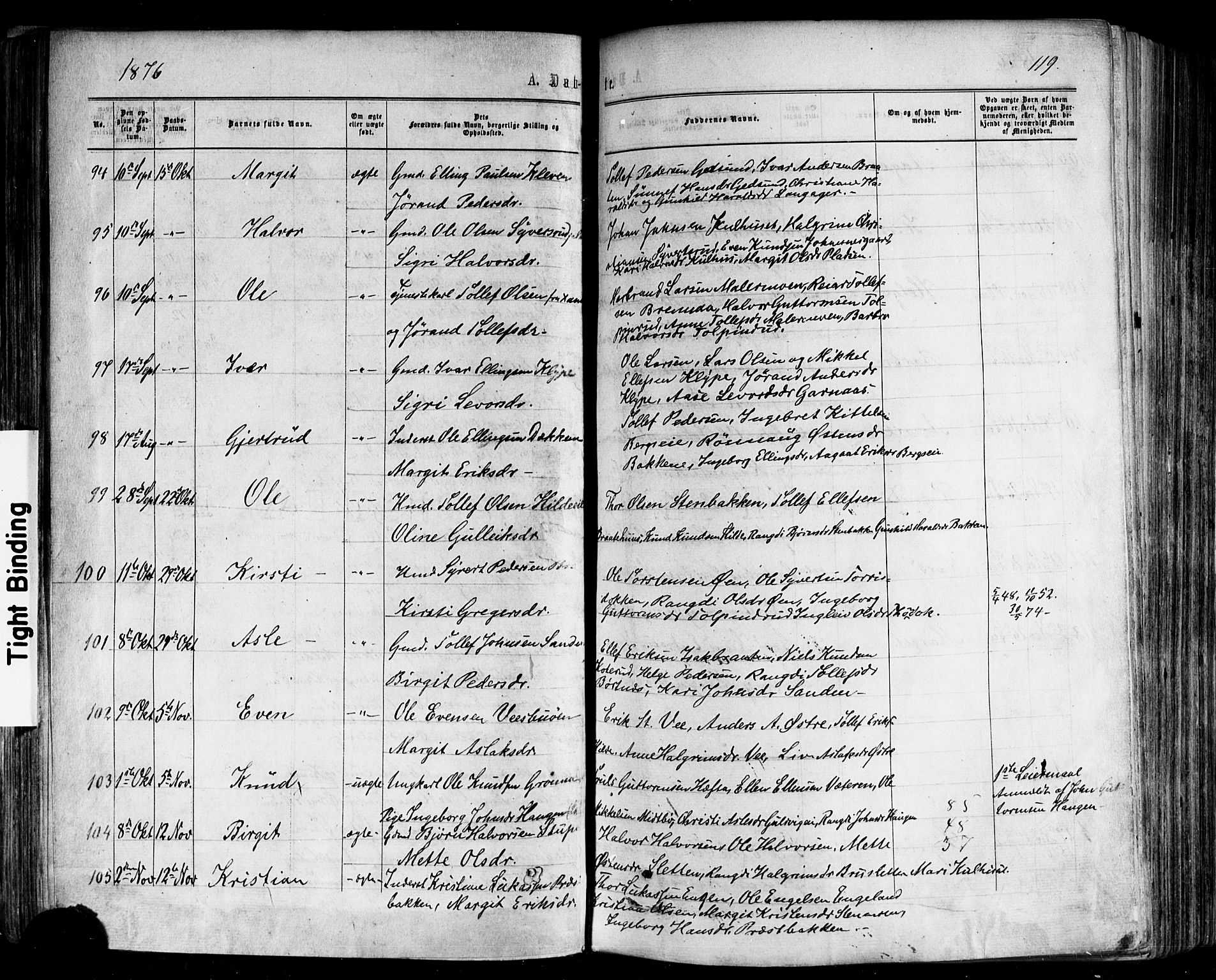 Nes kirkebøker, AV/SAKO-A-236/F/Fa/L0010: Parish register (official) no. 10, 1864-1880, p. 119