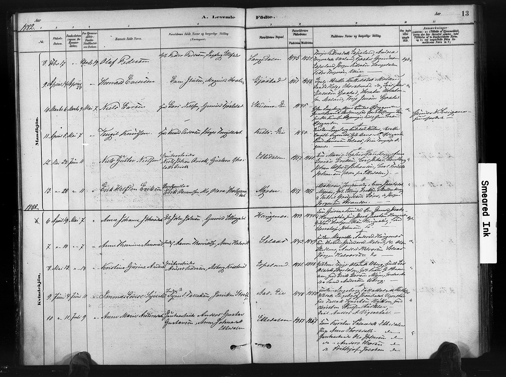 Gjerstad sokneprestkontor, SAK/1111-0014/F/Fa/Fab/L0004: Parish register (official) no. A 4, 1879-1890, p. 13