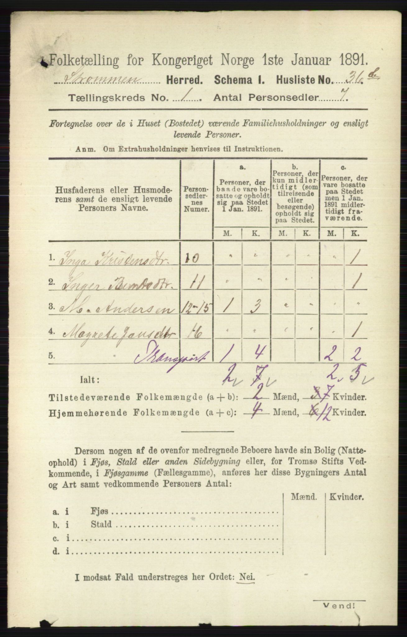 RA, 1891 census for 0711 Strømm, 1891, p. 54