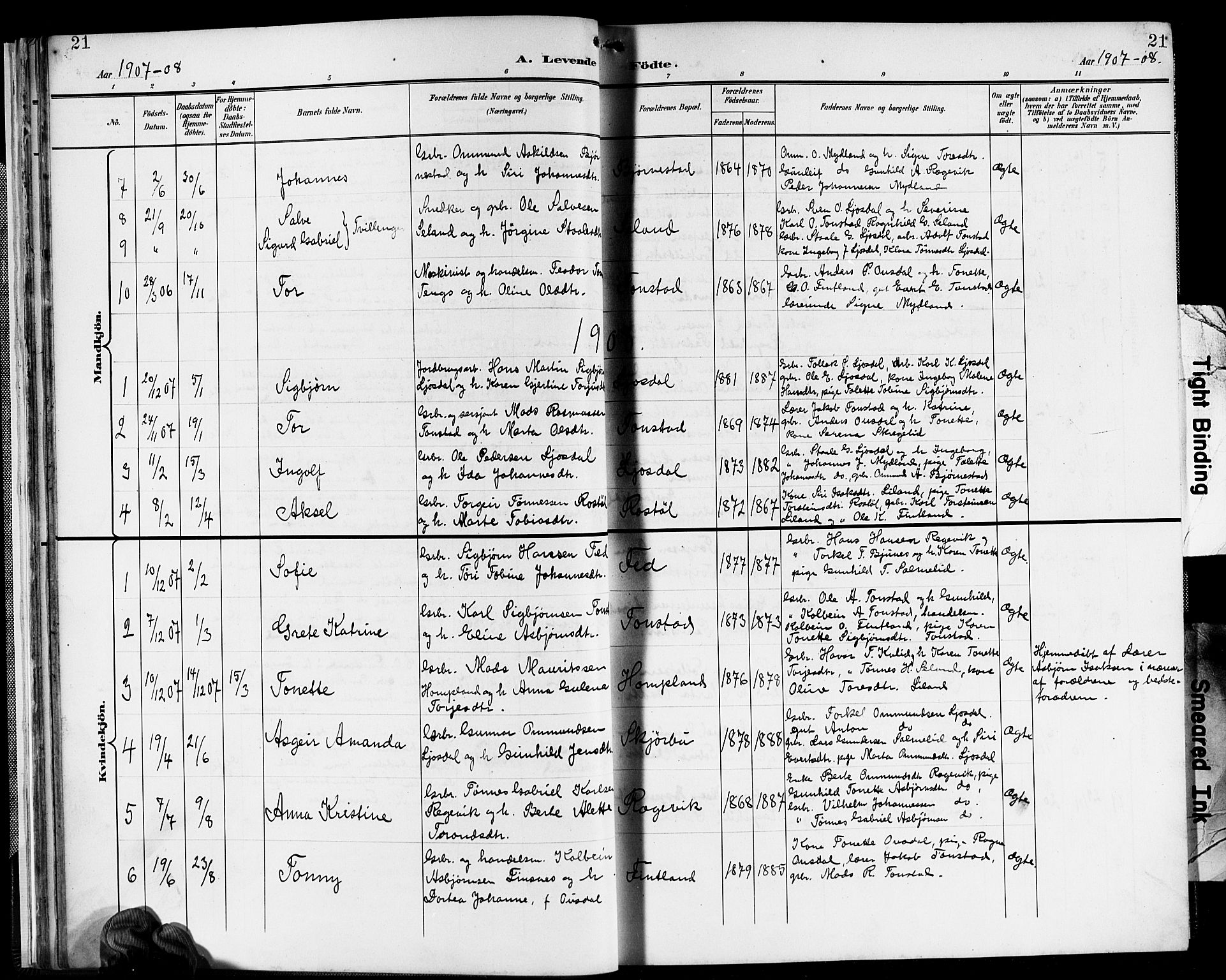 Sirdal sokneprestkontor, SAK/1111-0036/F/Fb/Fbb/L0004: Parish register (copy) no. B 4, 1895-1916, p. 21
