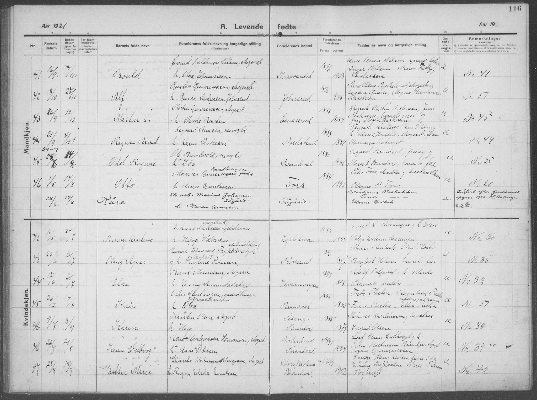 Brandval prestekontor, AV/SAH-PREST-034/H/Ha/Haa/L0004: Parish register (official) no. 4, 1910-1924, p. 116