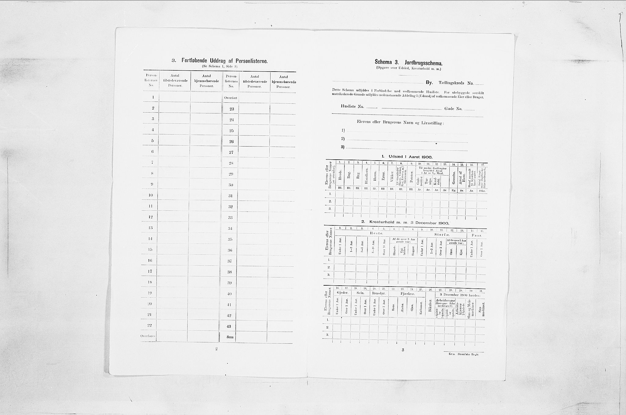 SAO, 1900 census for Fredrikstad, 1900