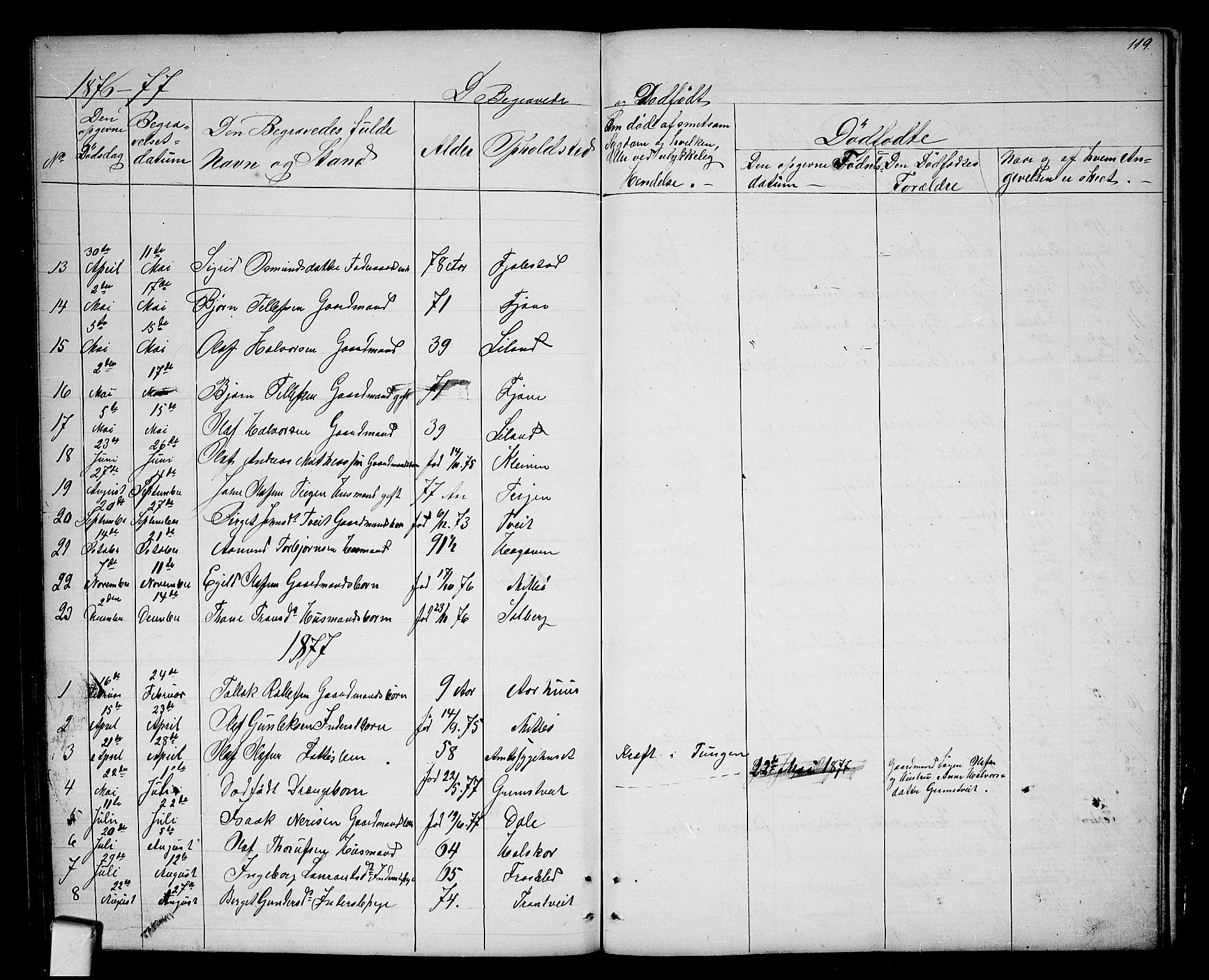 Nissedal kirkebøker, SAKO/A-288/G/Ga/L0002: Parish register (copy) no. I 2, 1861-1887, p. 119