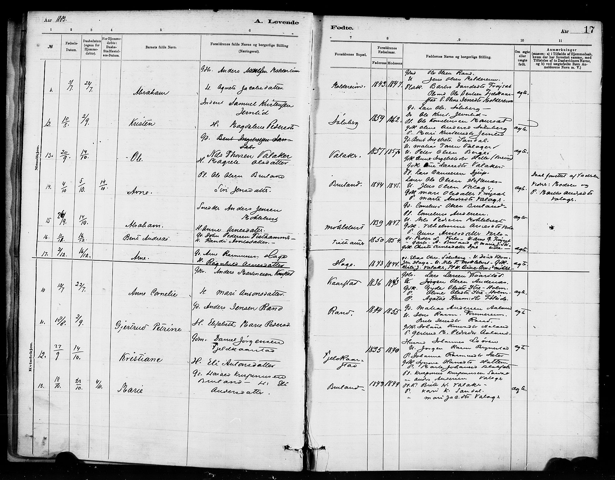 Innvik sokneprestembete, AV/SAB-A-80501: Parish register (official) no. D 1, 1879-1900, p. 17