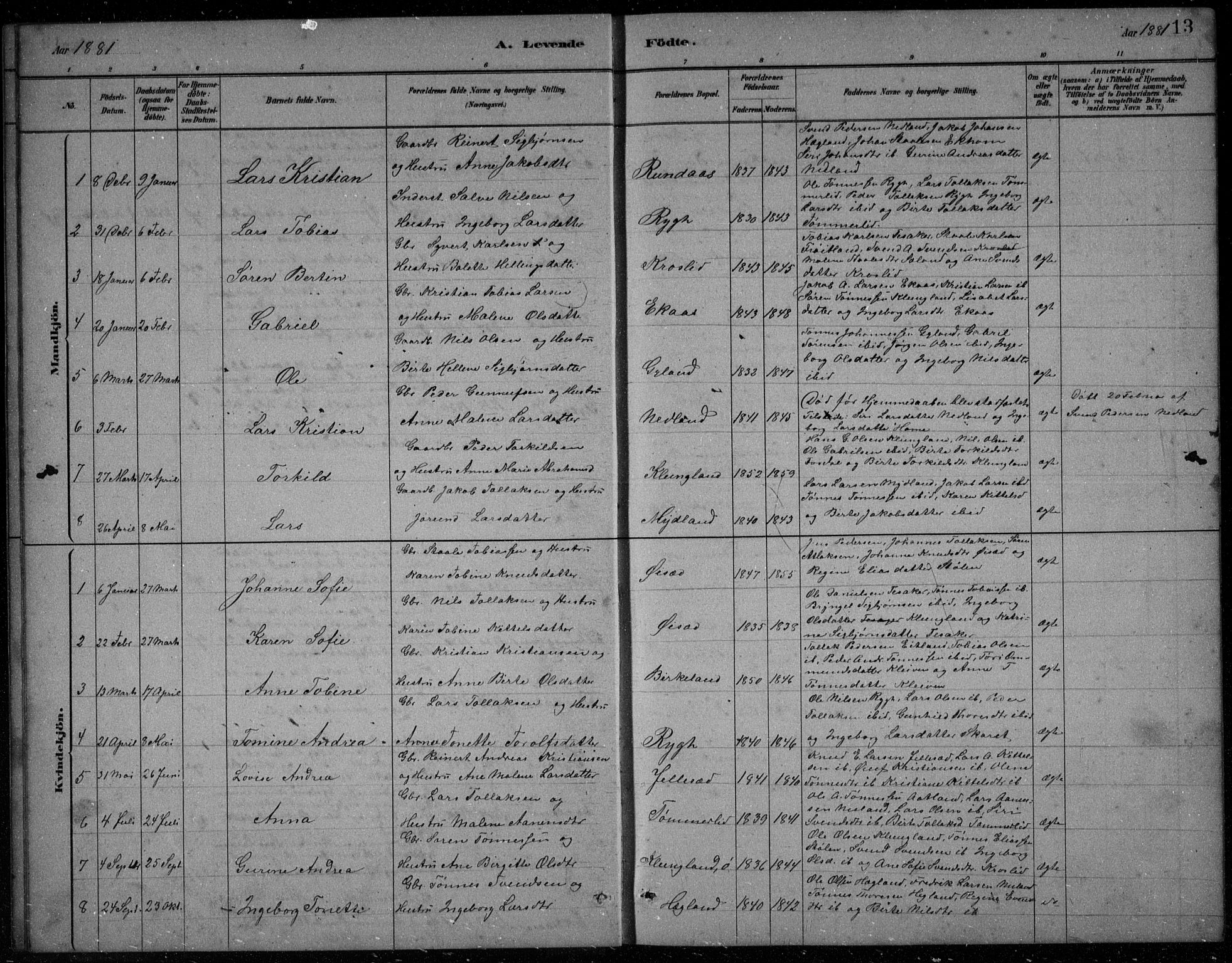 Bakke sokneprestkontor, SAK/1111-0002/F/Fb/Fbb/L0003: Parish register (copy) no. B 3, 1878-1896, p. 13
