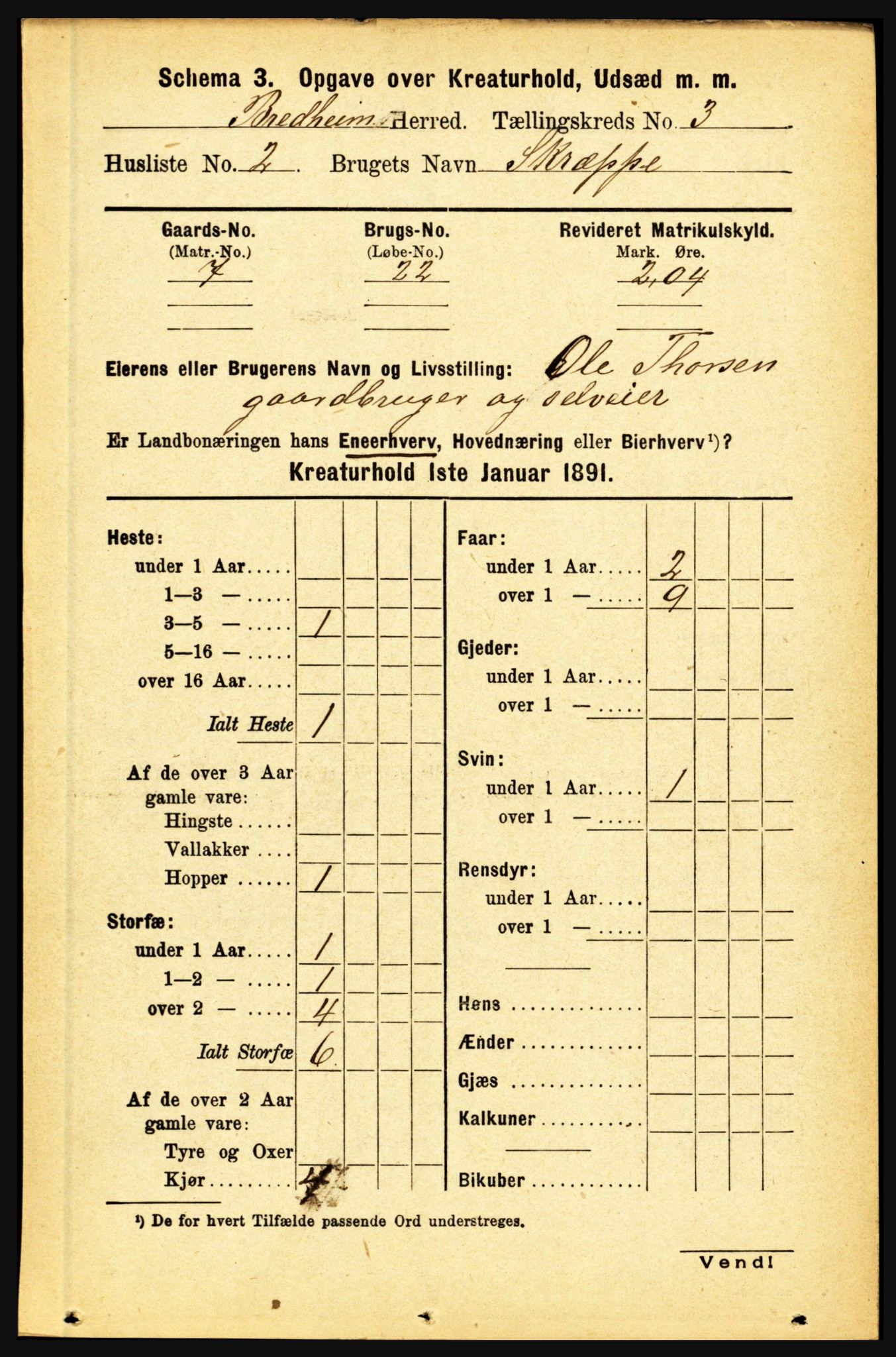 RA, 1891 census for 1446 Breim, 1891, p. 2550