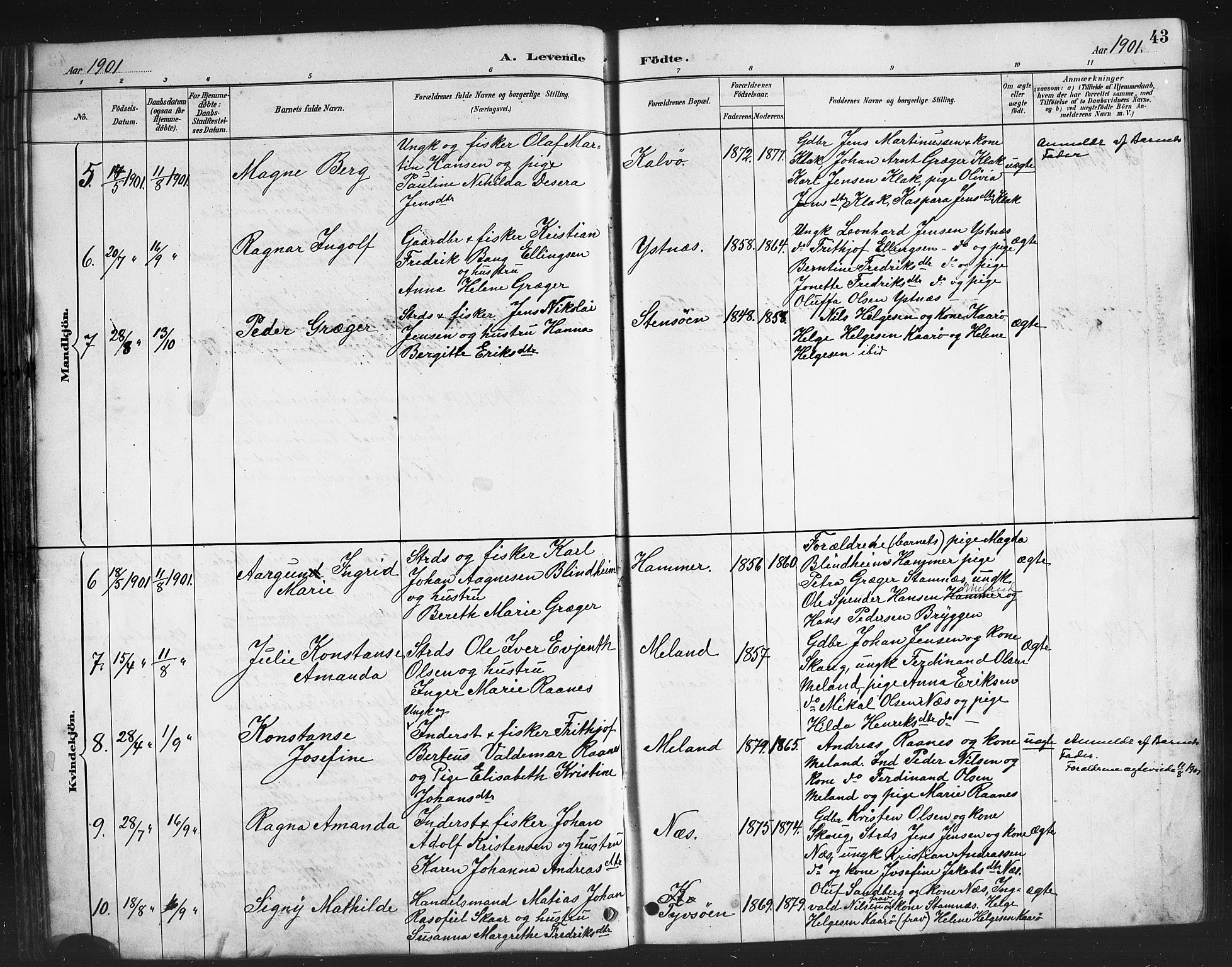 Ministerialprotokoller, klokkerbøker og fødselsregistre - Nordland, AV/SAT-A-1459/808/L0131: Parish register (copy) no. 808C02, 1879-1919, p. 43