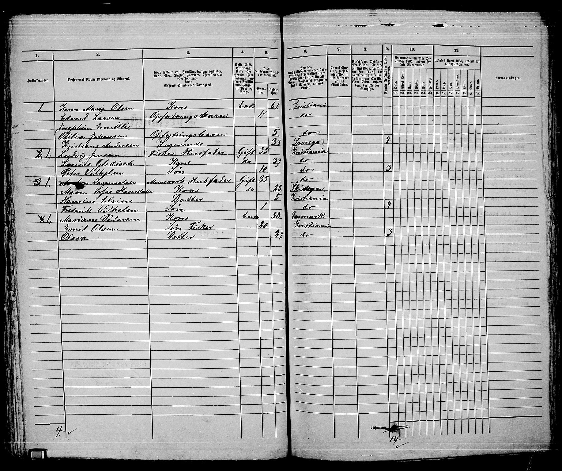 RA, 1865 census for Kristiania, 1865, p. 3895