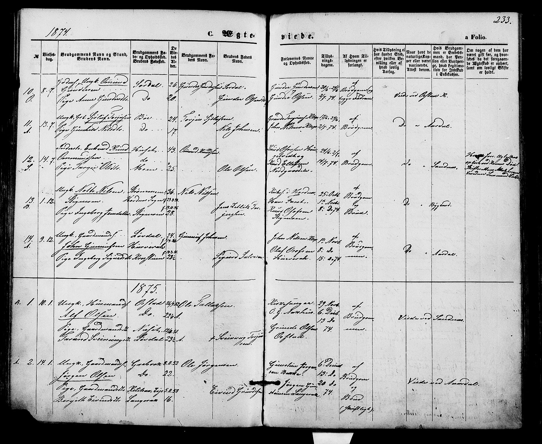 Bygland sokneprestkontor, SAK/1111-0006/F/Fa/Fab/L0006: Parish register (official) no. A 6, 1873-1884, p. 233