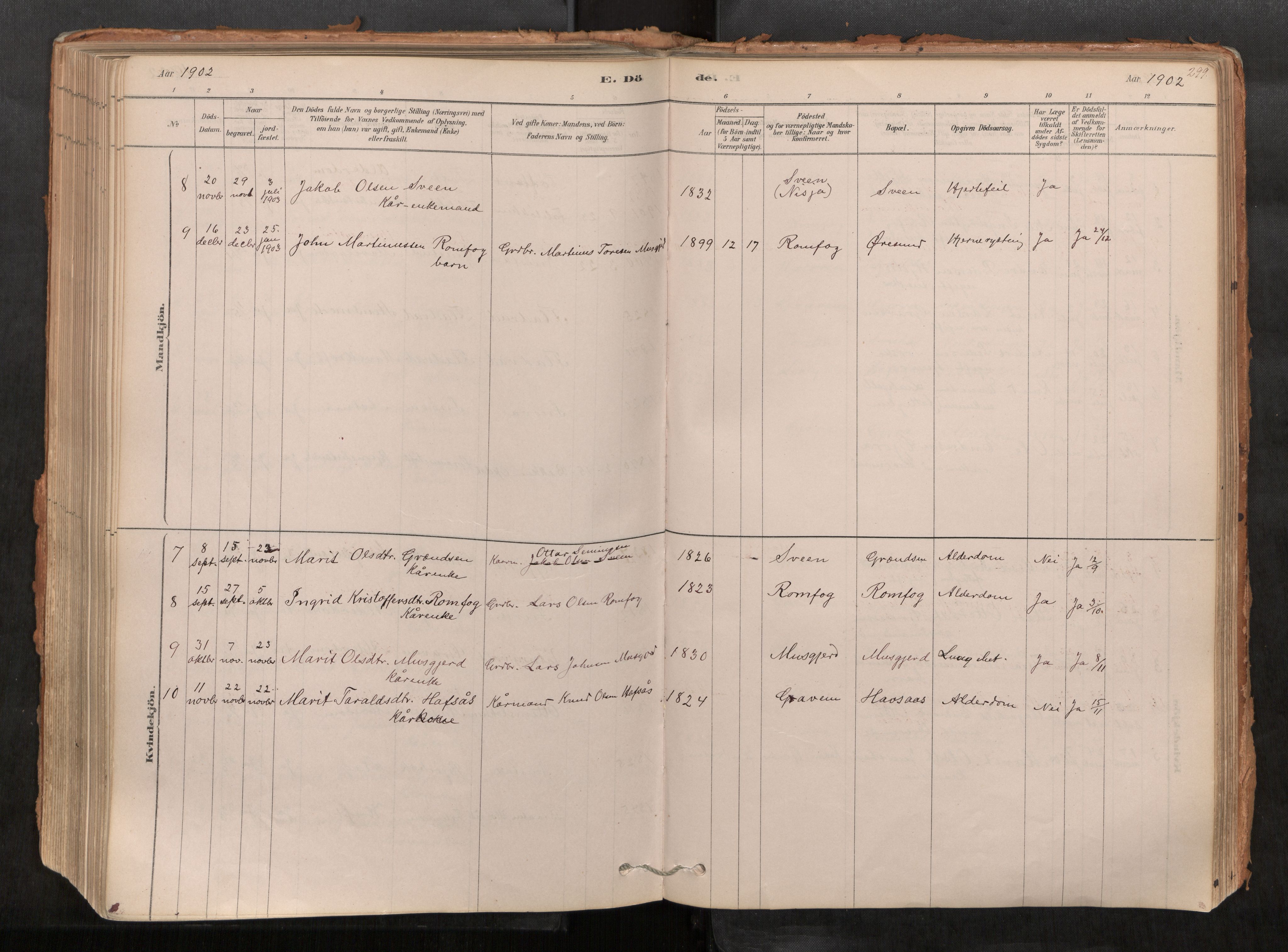 Sunndal sokneprestkontor, AV/SAT-A-1085/1/I/I1/I1a/L0001: Parish register (official) no. 1, 1877-1914, p. 299