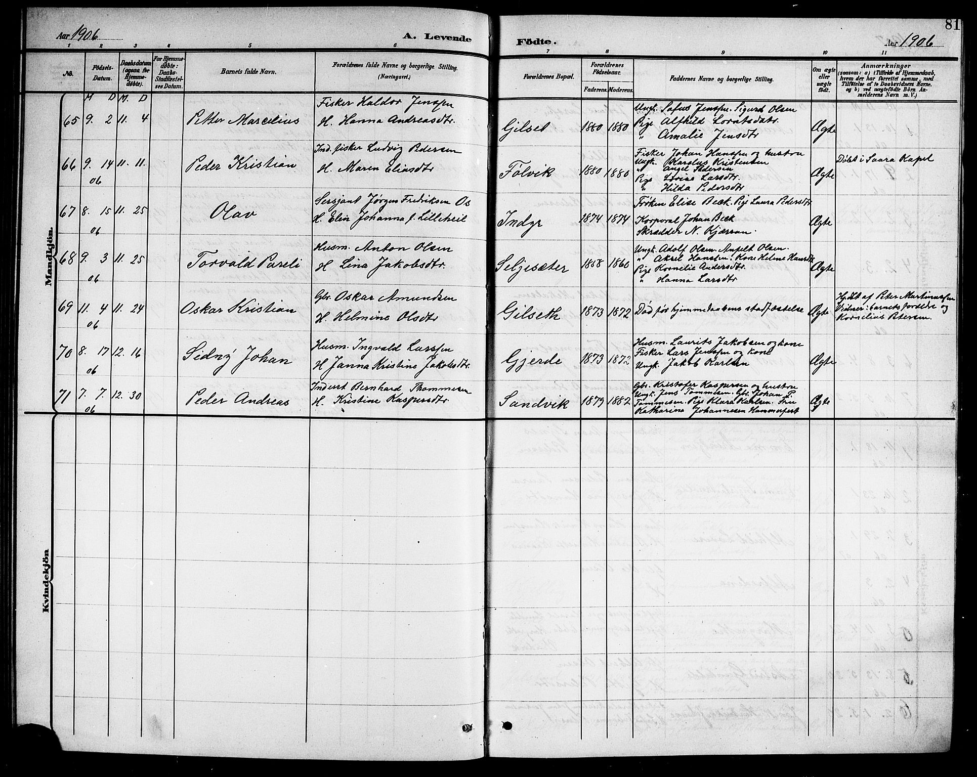 Ministerialprotokoller, klokkerbøker og fødselsregistre - Nordland, AV/SAT-A-1459/805/L0109: Parish register (copy) no. 805C05, 1900-1911, p. 81