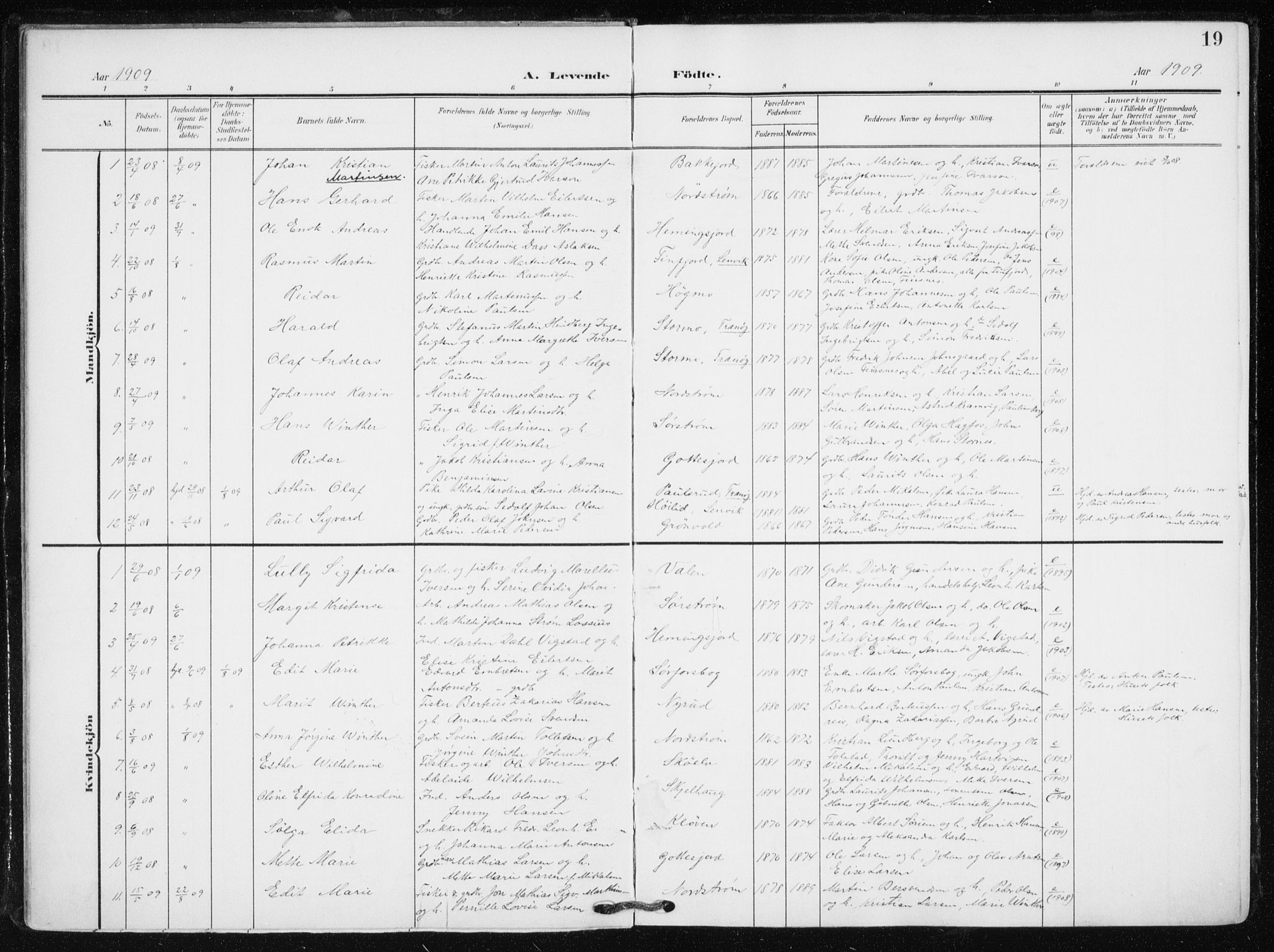 Tranøy sokneprestkontor, AV/SATØ-S-1313/I/Ia/Iaa/L0012kirke: Parish register (official) no. 12, 1905-1918, p. 19