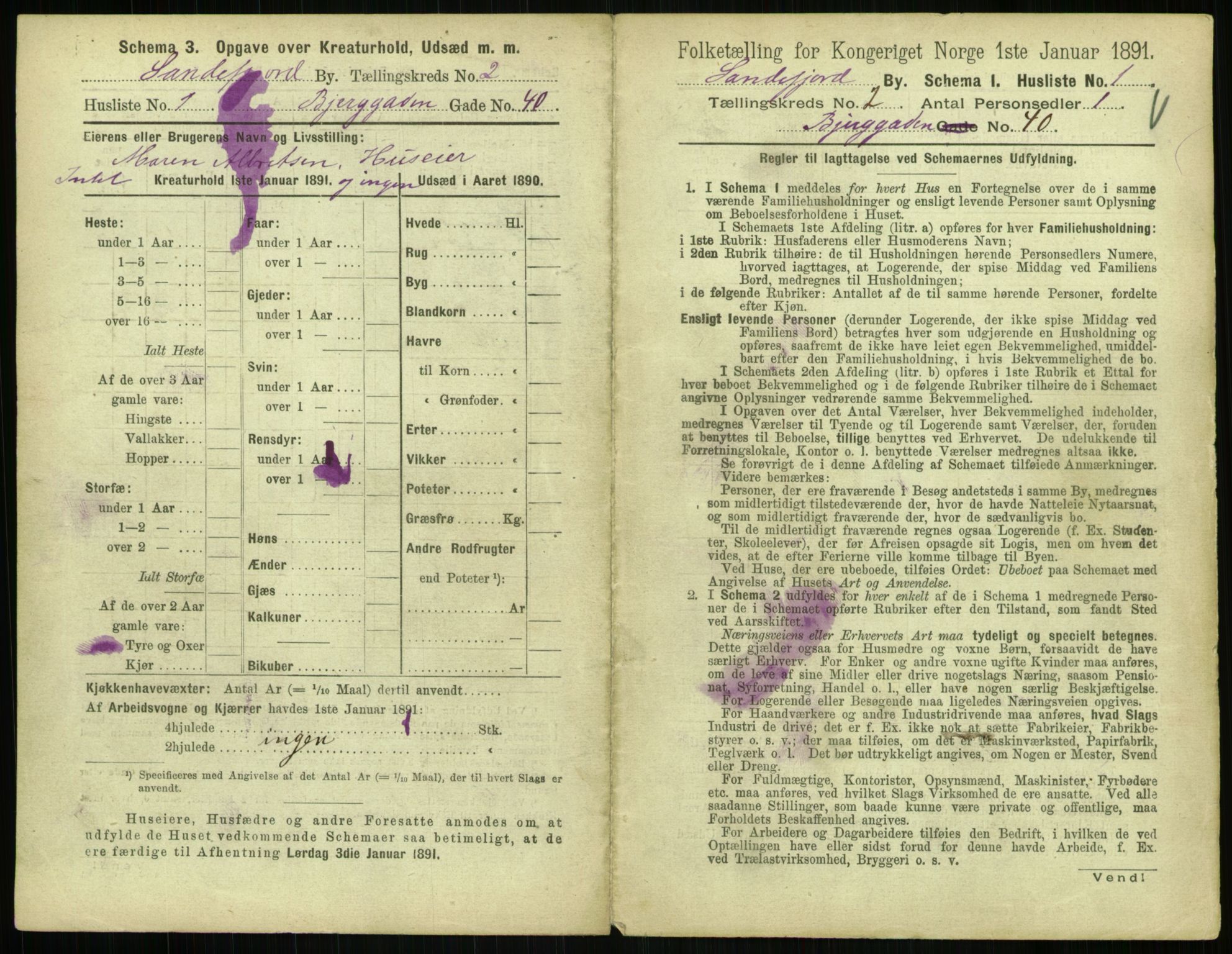 RA, 1891 census for 0706 Sandefjord, 1891, p. 129