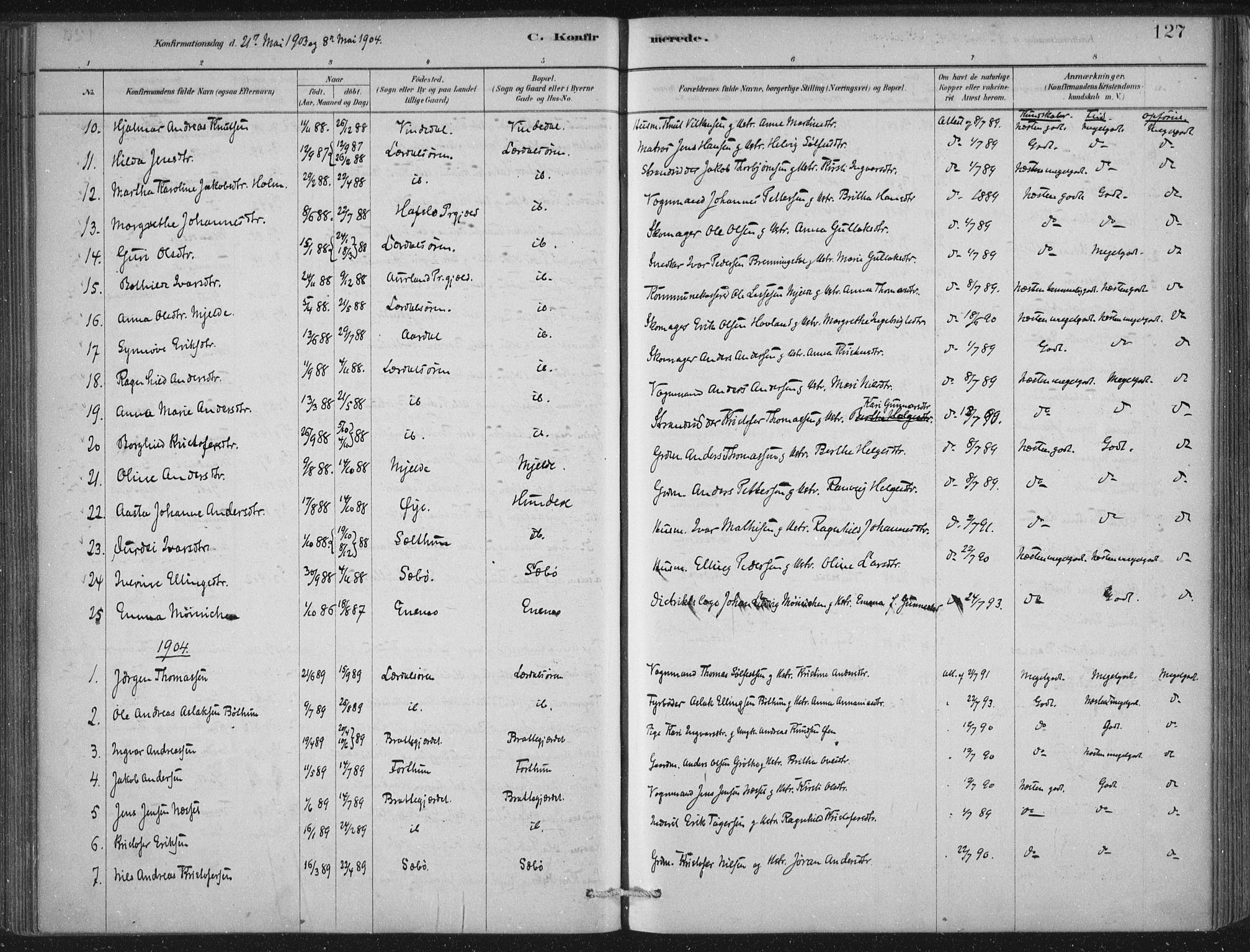 Lærdal sokneprestembete, SAB/A-81201: Parish register (official) no. D  1, 1878-1908, p. 127