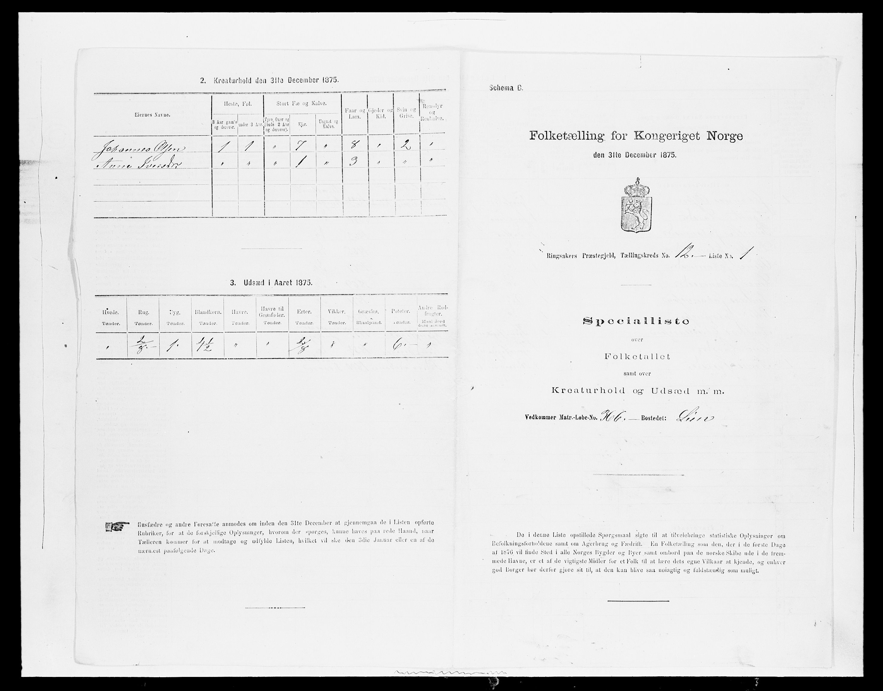 SAH, 1875 census for 0412P Ringsaker, 1875, p. 2411