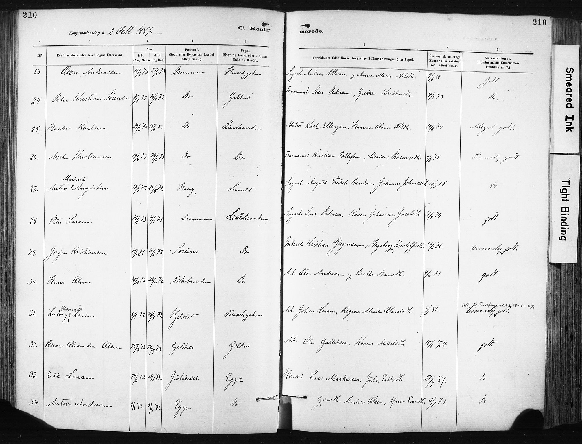 Lier kirkebøker, AV/SAKO-A-230/F/Fa/L0015: Parish register (official) no. I 15, 1883-1894, p. 210