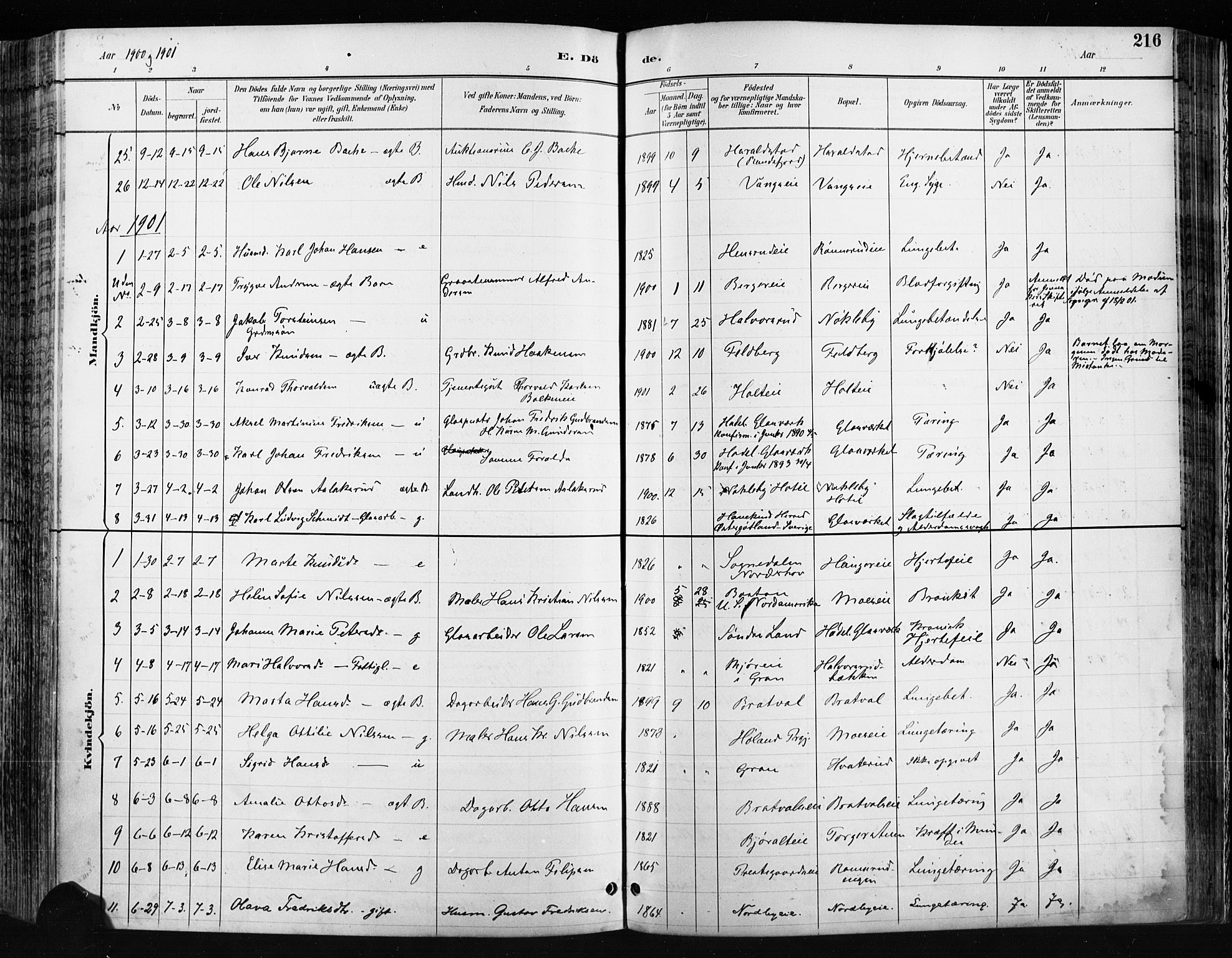 Jevnaker prestekontor, AV/SAH-PREST-116/H/Ha/Haa/L0009: Parish register (official) no. 9, 1891-1901, p. 216