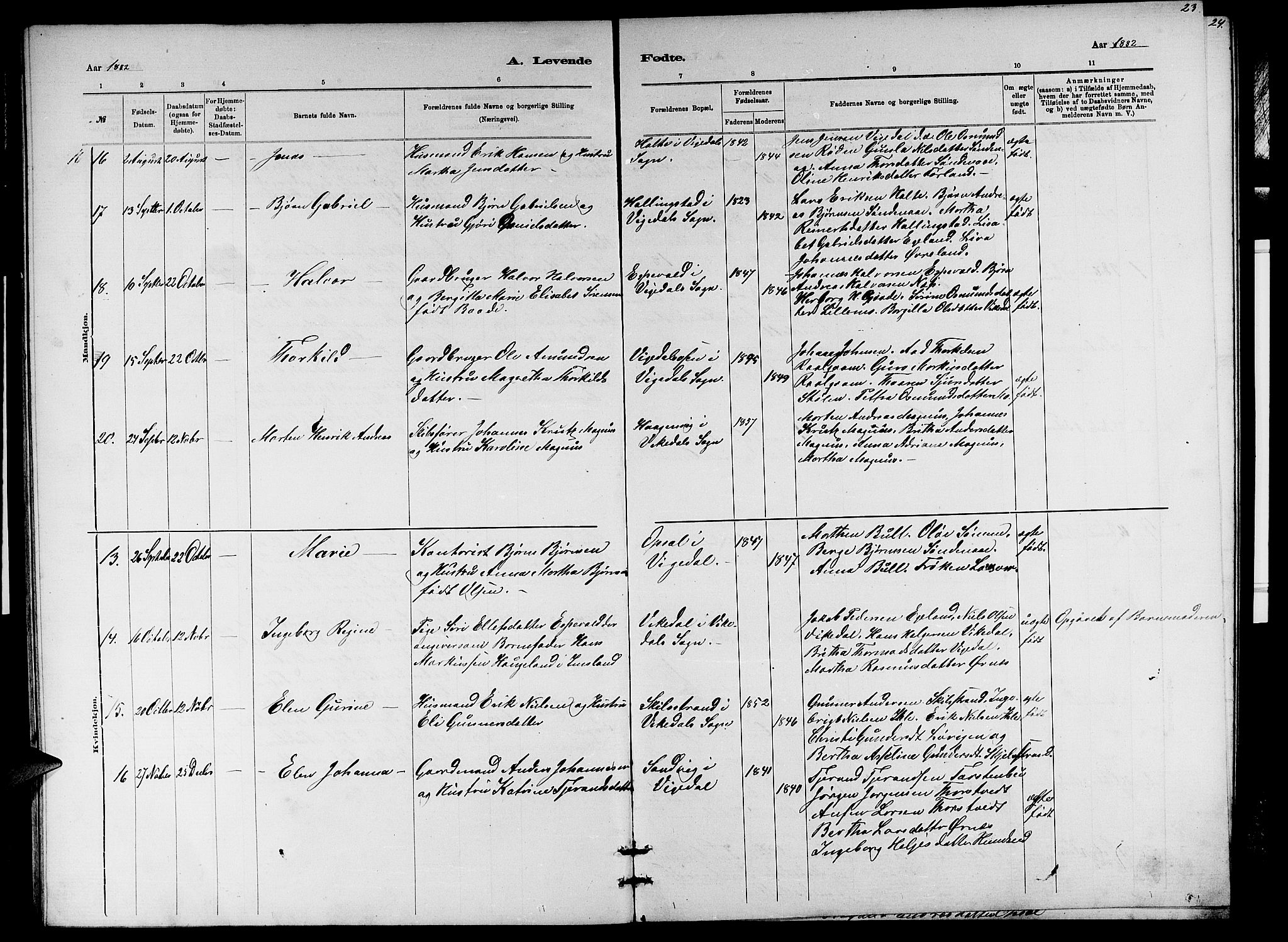 Vikedal sokneprestkontor, AV/SAST-A-101840/01/V: Parish register (copy) no. B 5, 1878-1888, p. 23