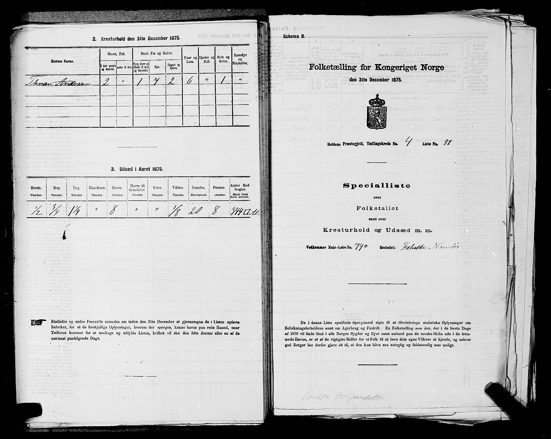 SAKO, 1875 census for 0819P Holla, 1875, p. 600