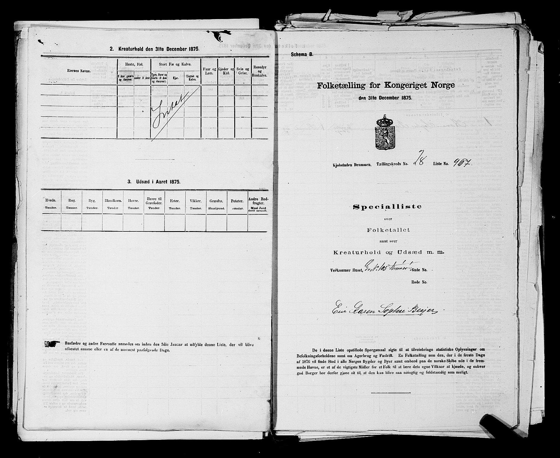 SAKO, 1875 census for 0602 Drammen, 1875, p. 2716