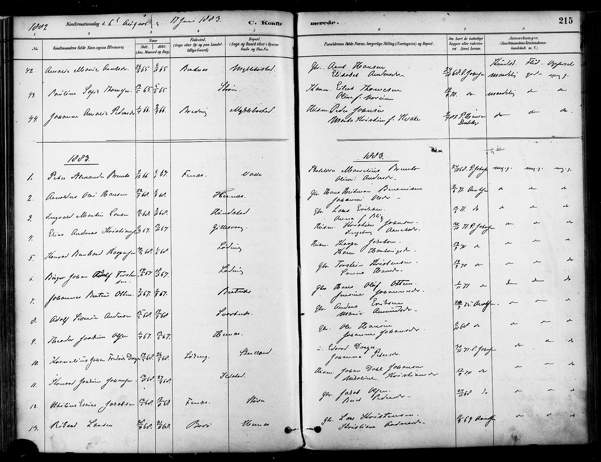 Ministerialprotokoller, klokkerbøker og fødselsregistre - Nordland, SAT/A-1459/802/L0054: Parish register (official) no. 802A01, 1879-1893, p. 215