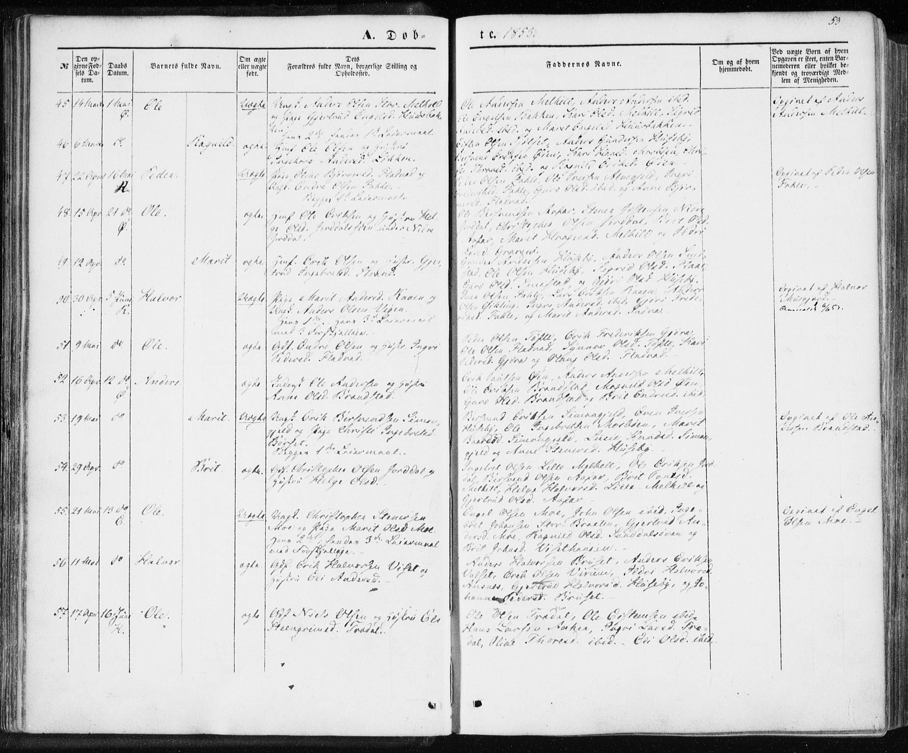 Ministerialprotokoller, klokkerbøker og fødselsregistre - Møre og Romsdal, SAT/A-1454/590/L1013: Parish register (official) no. 590A05, 1847-1877, p. 53