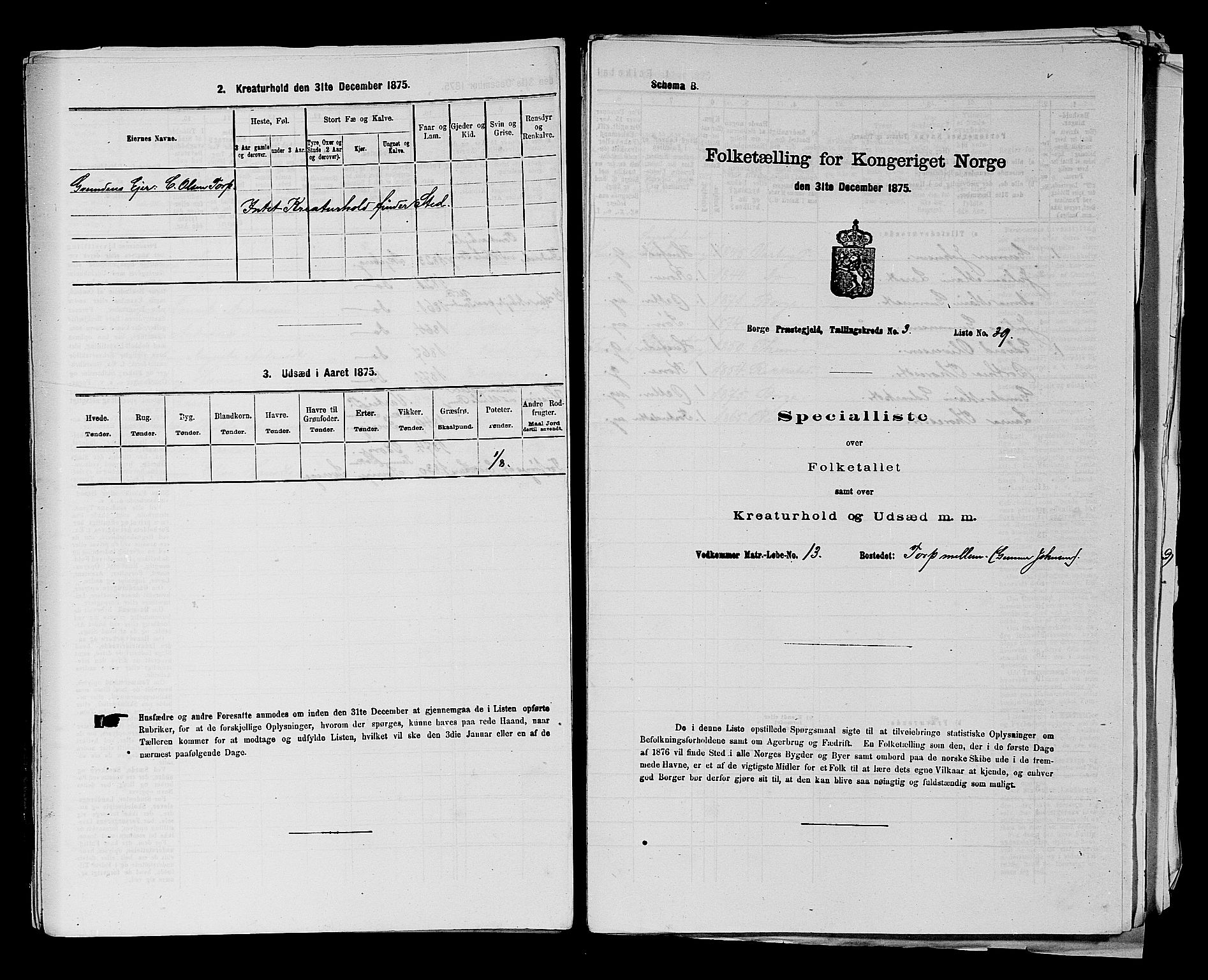 RA, 1875 census for 0113P Borge, 1875, p. 467