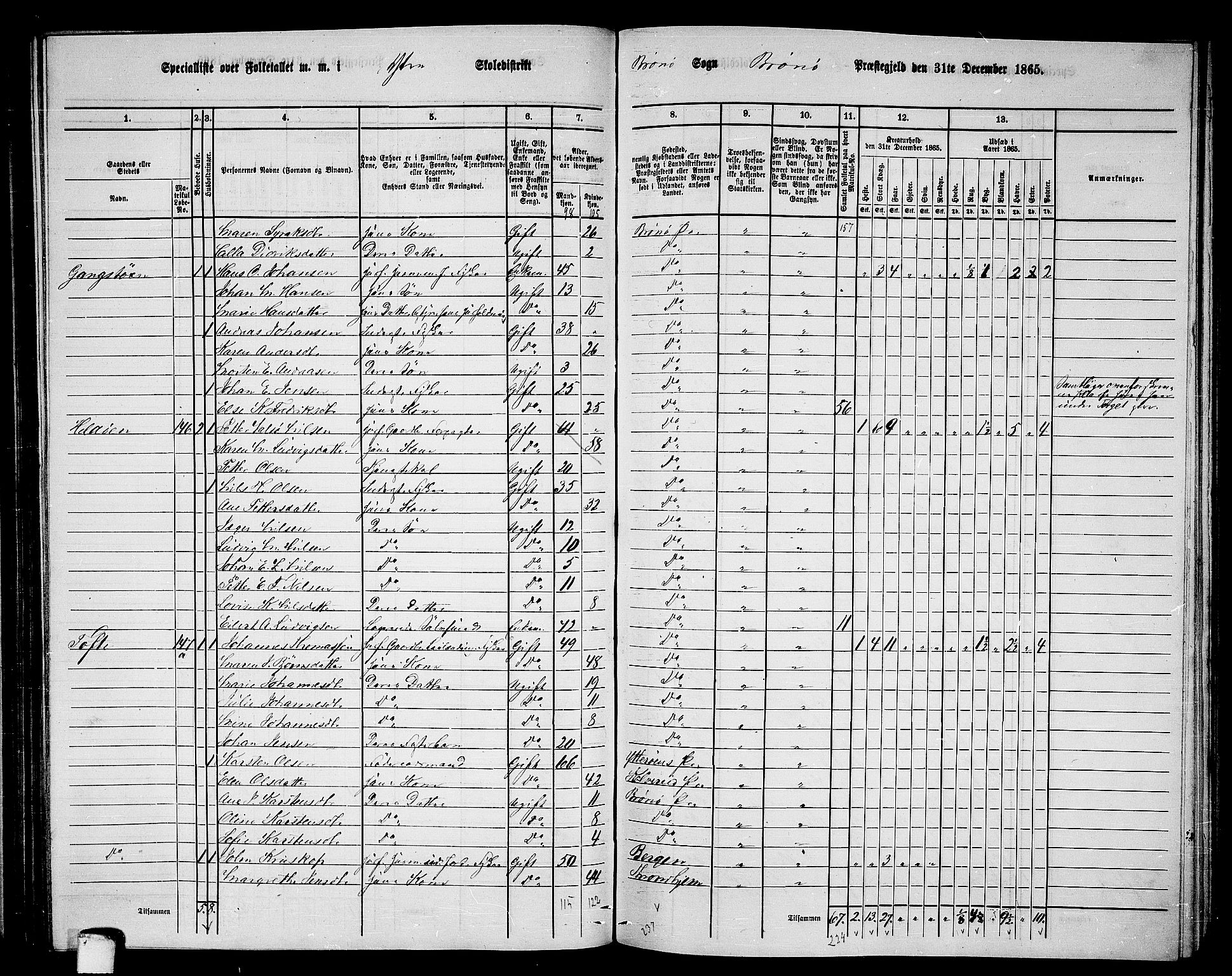 RA, 1865 census for Brønnøy, 1865, p. 131