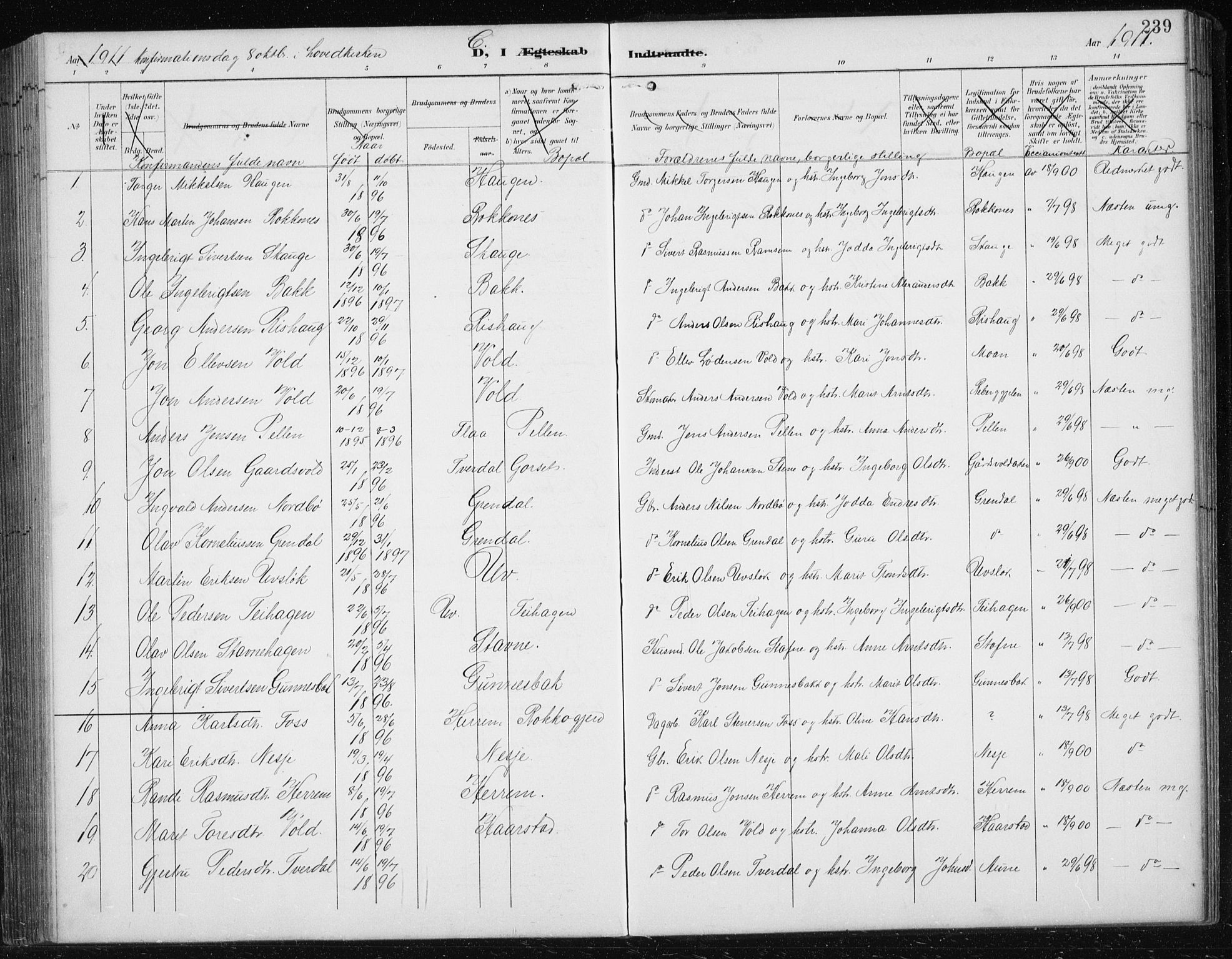 Ministerialprotokoller, klokkerbøker og fødselsregistre - Sør-Trøndelag, SAT/A-1456/674/L0876: Parish register (copy) no. 674C03, 1892-1912, p. 239