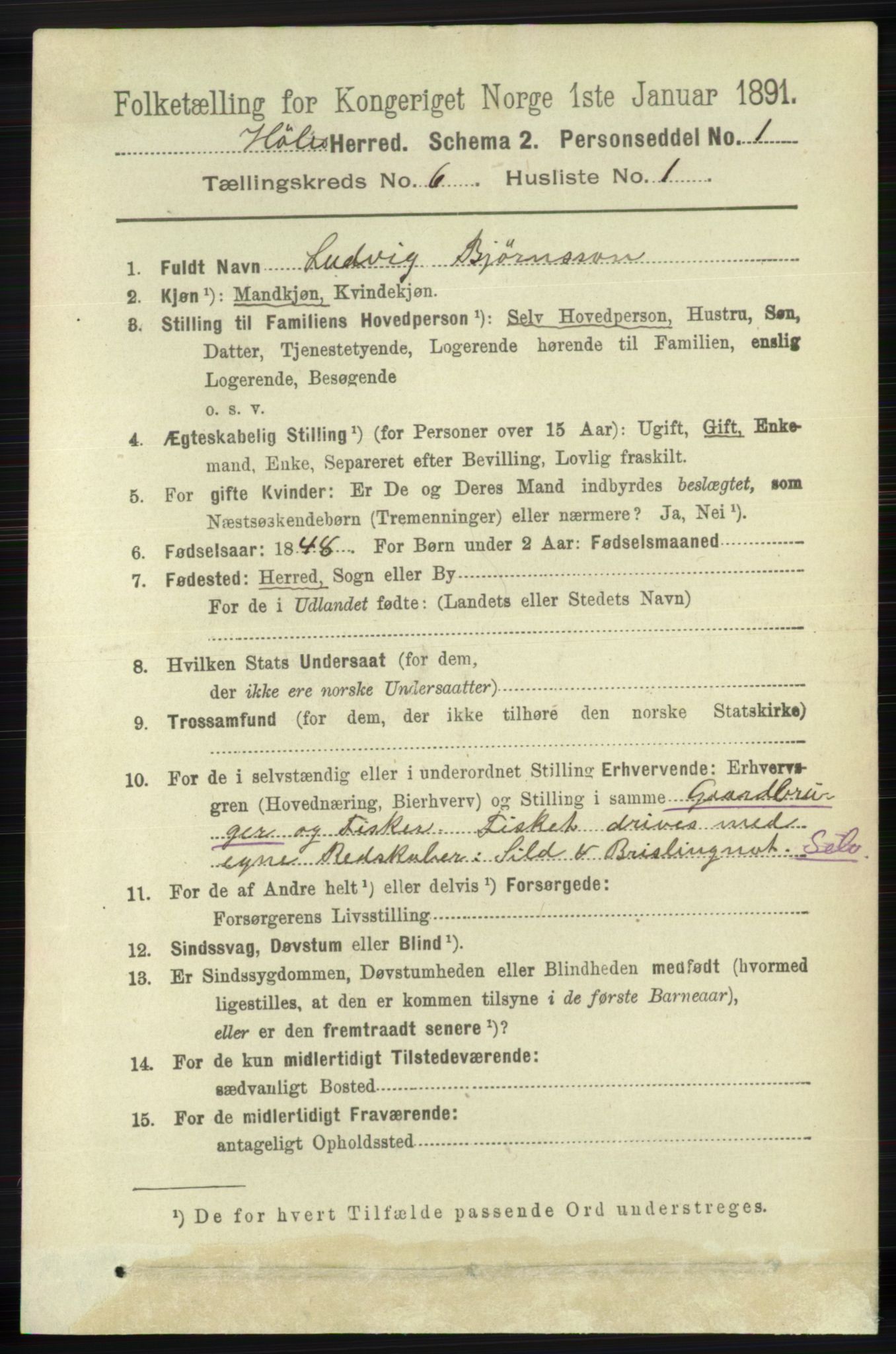 RA, 1891 census for 1128 Høle, 1891, p. 1292