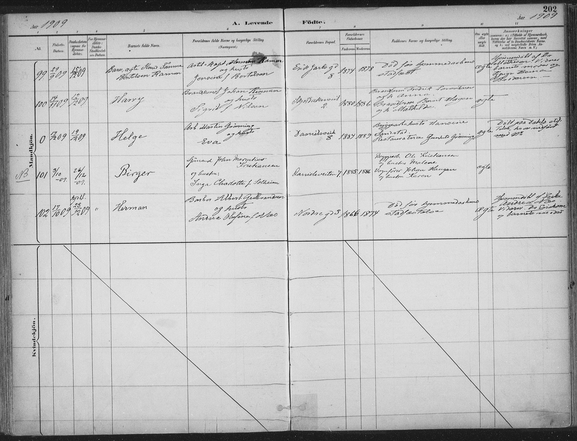 Ministerialprotokoller, klokkerbøker og fødselsregistre - Sør-Trøndelag, SAT/A-1456/601/L0062: Parish register (official) no. 601A30, 1891-1911, p. 202