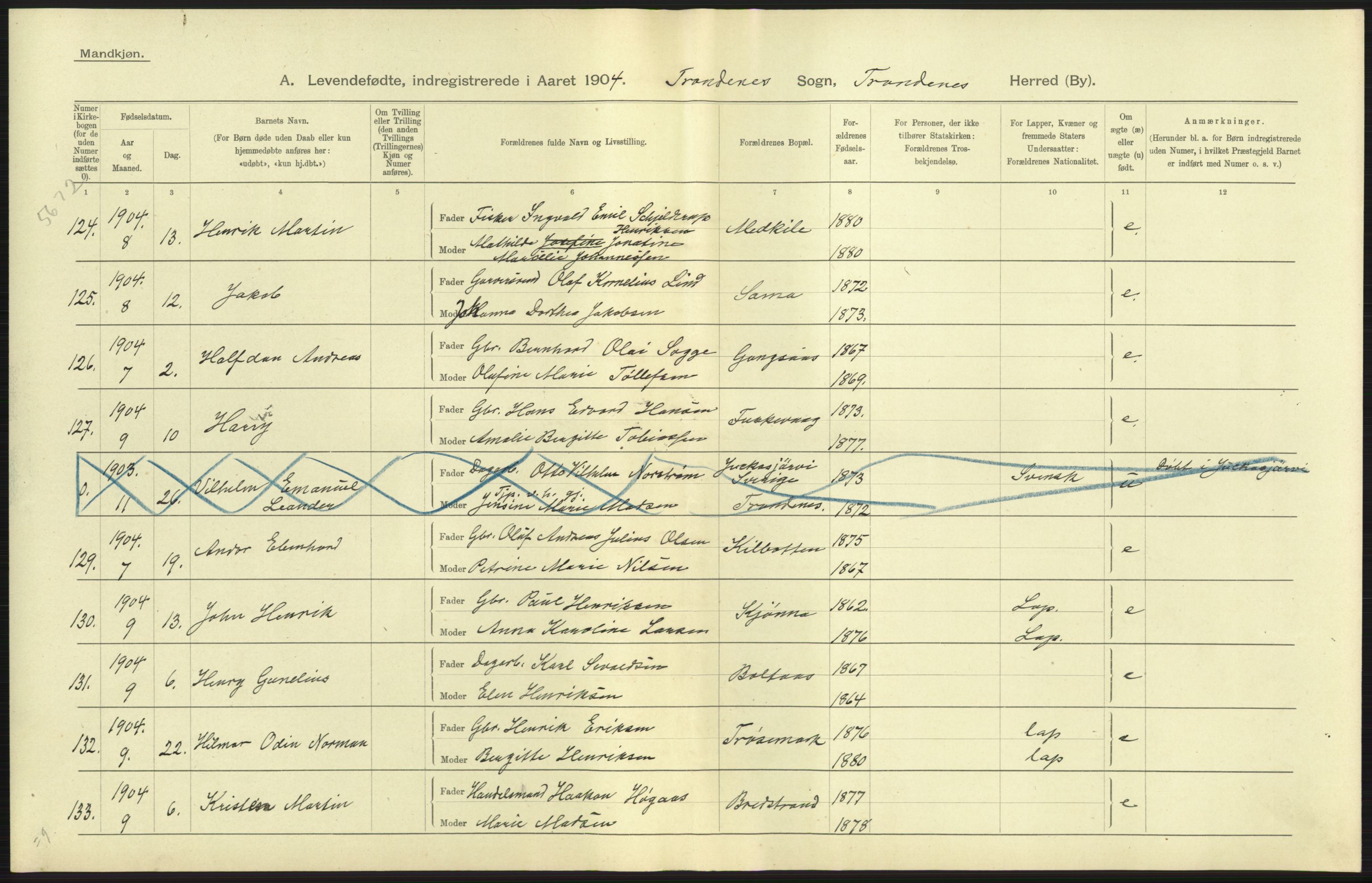 Statistisk sentralbyrå, Sosiodemografiske emner, Befolkning, AV/RA-S-2228/D/Df/Dfa/Dfab/L0022: Tromsø amt: Fødte, gifte, døde, 1904, p. 255