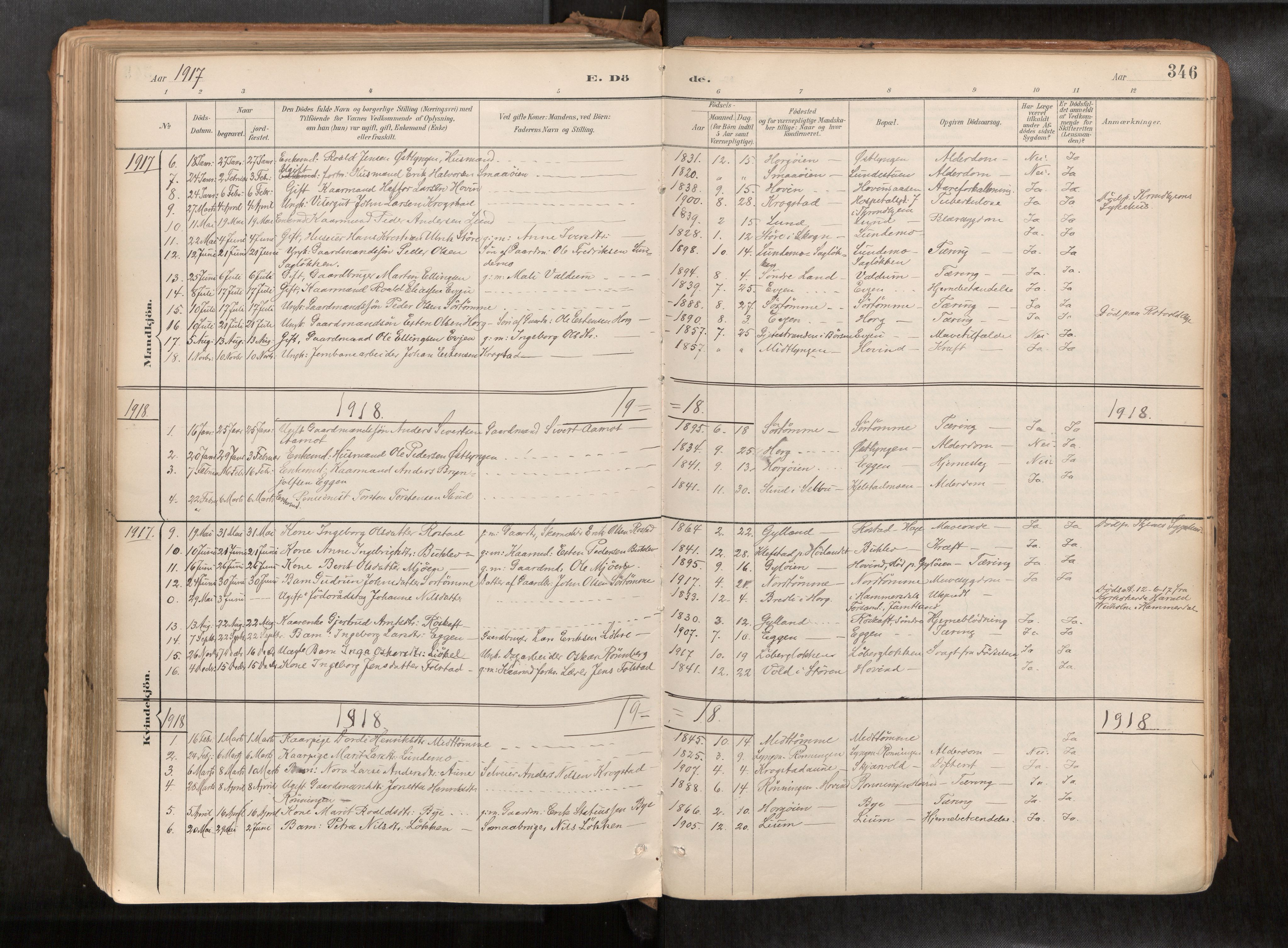 Ministerialprotokoller, klokkerbøker og fødselsregistre - Sør-Trøndelag, SAT/A-1456/692/L1105b: Parish register (official) no. 692A06, 1891-1934, p. 346