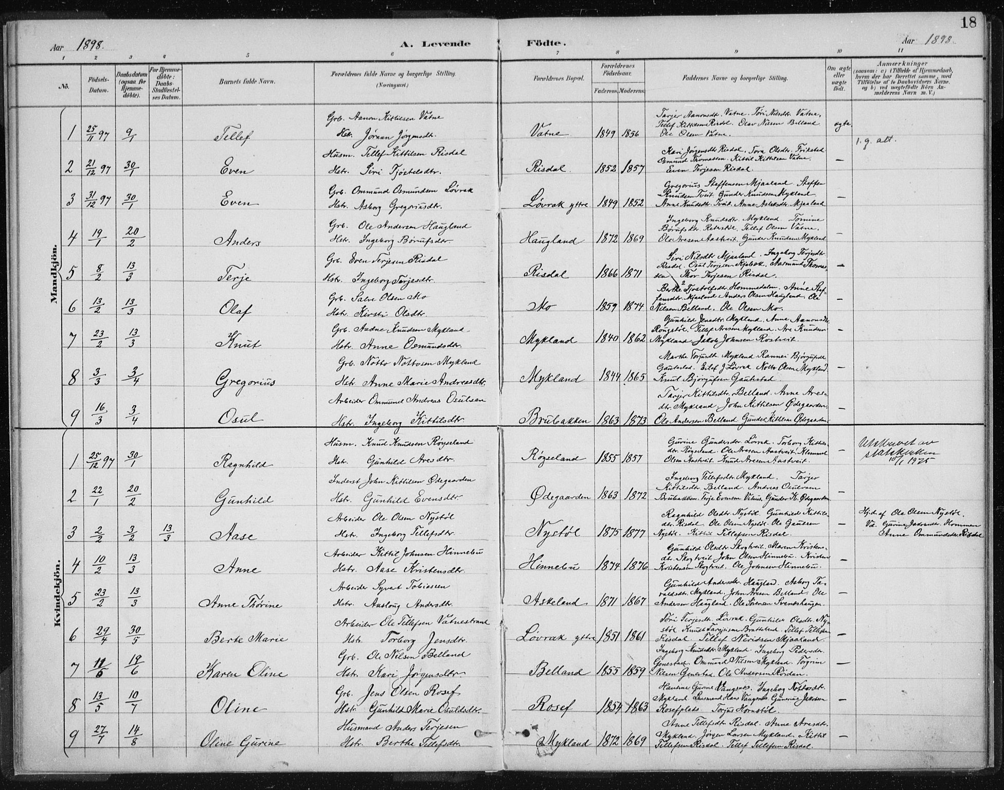 Herefoss sokneprestkontor, SAK/1111-0019/F/Fa/Fac/L0002: Parish register (official) no. A 2, 1887-1915, p. 18