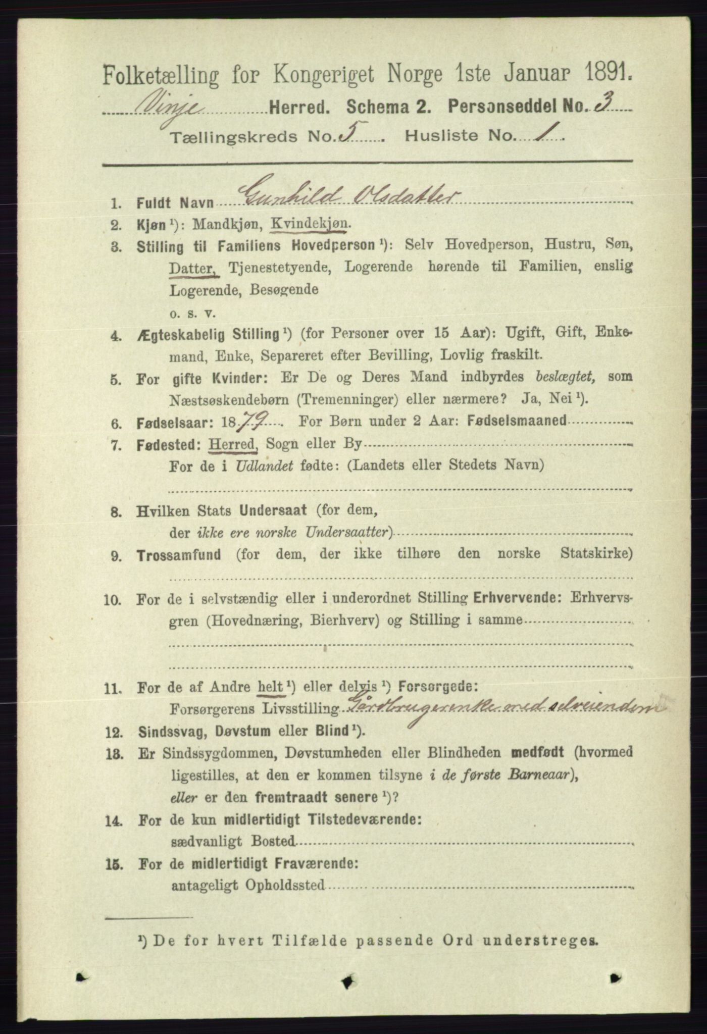 RA, 1891 census for 0834 Vinje, 1891, p. 1050