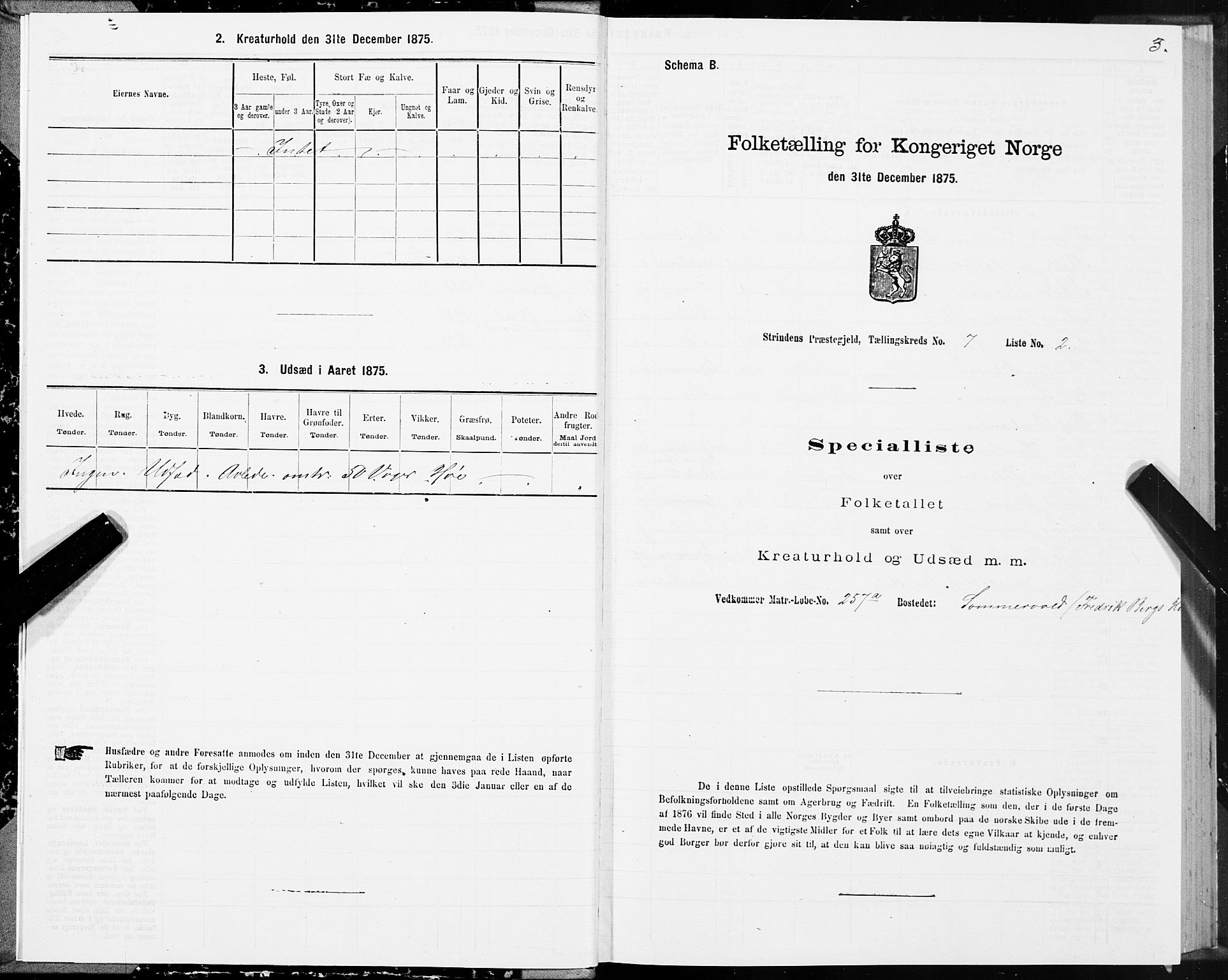 SAT, 1875 census for 1660P Strinda, 1875, p. 4003