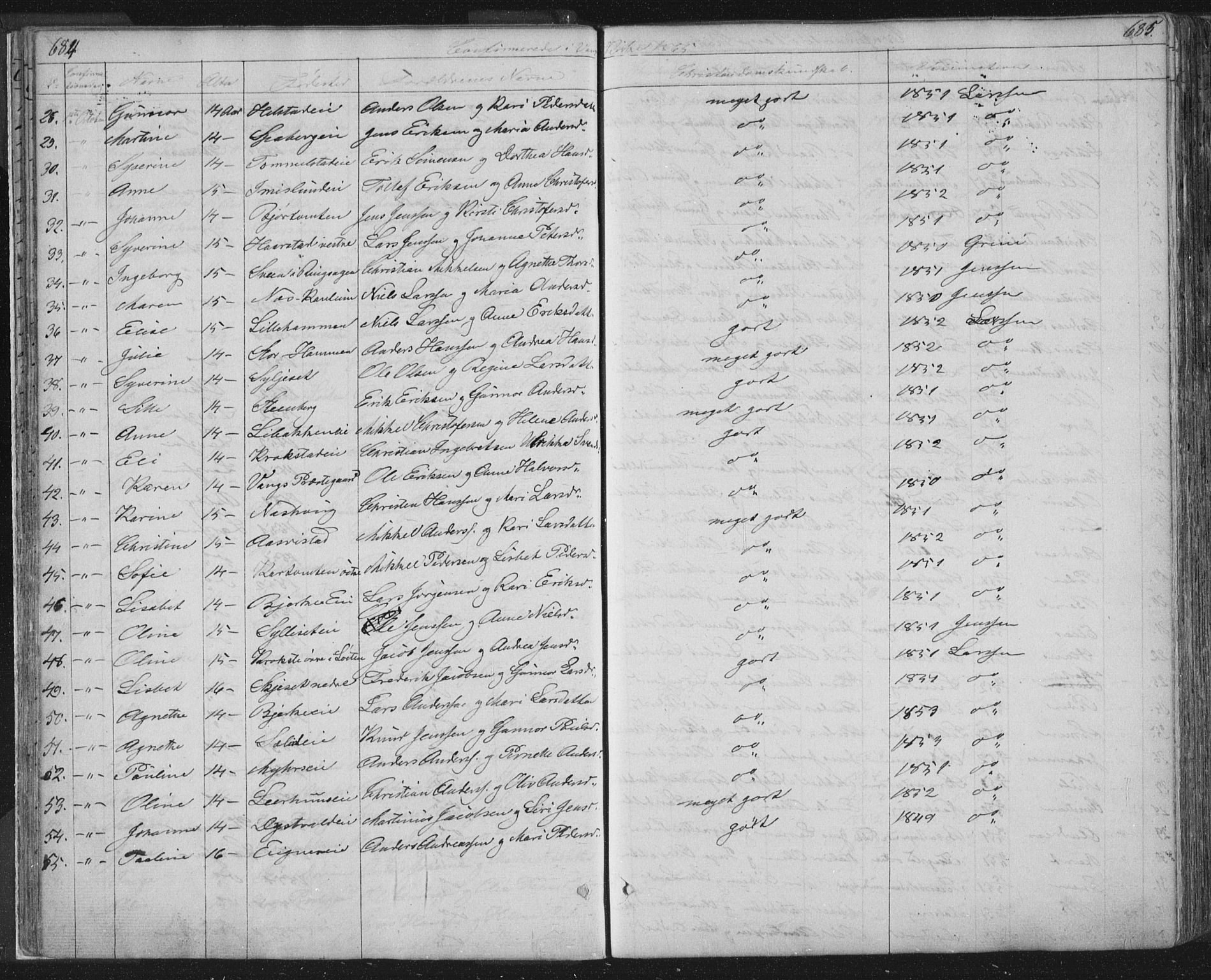 Vang prestekontor, Hedmark, AV/SAH-PREST-008/H/Ha/Hab/L0010B: Parish register (copy) no. 10b, 1854-1896, p. 684-685