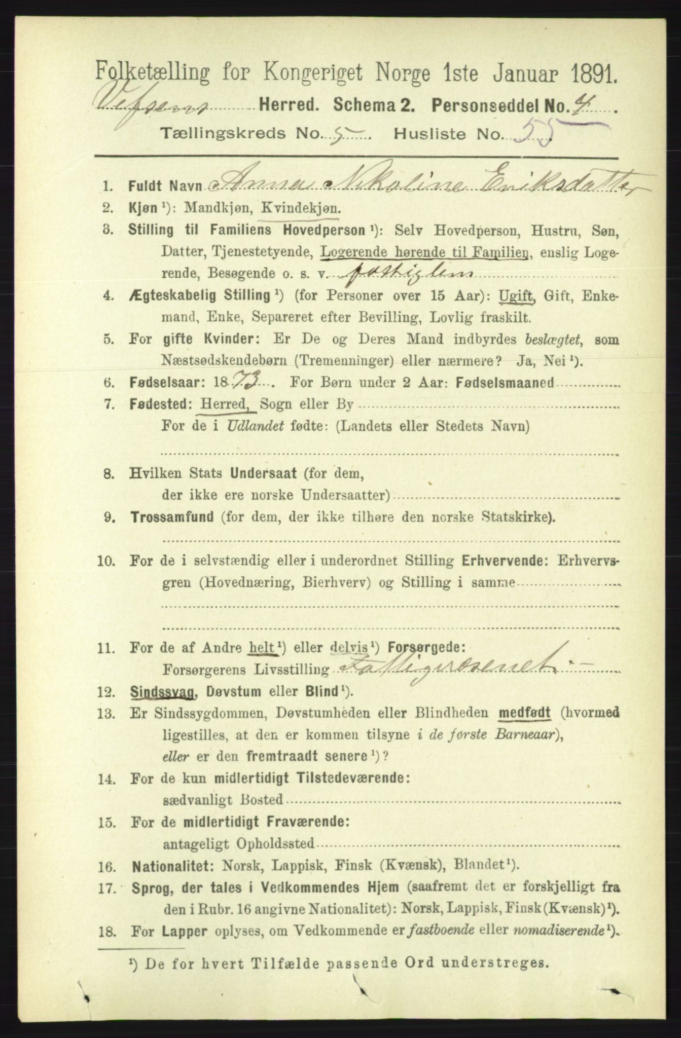 RA, 1891 census for 1824 Vefsn, 1891, p. 2509