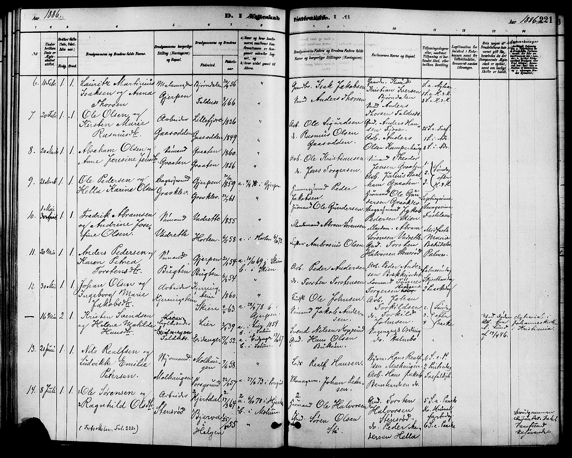 Solum kirkebøker, SAKO/A-306/F/Fa/L0009: Parish register (official) no. I 9, 1877-1887, p. 221