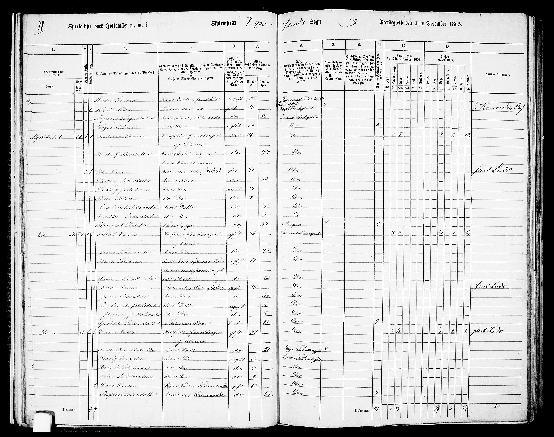 RA, 1865 census for Eigersund/Eigersund og Ogna, 1865, p. 26