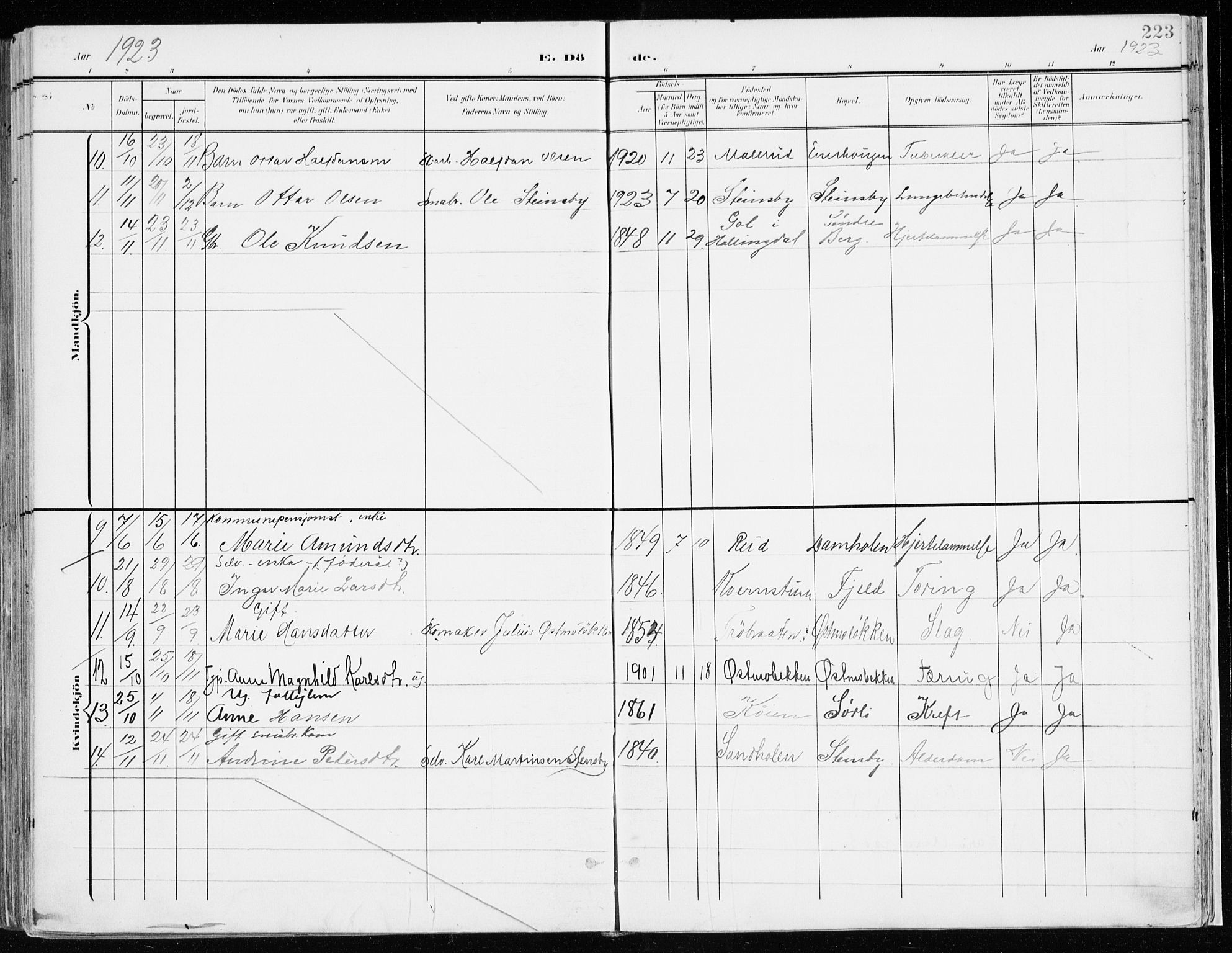 Nord-Odal prestekontor, AV/SAH-PREST-032/H/Ha/Haa/L0009: Parish register (official) no. 9, 1902-1926, p. 223