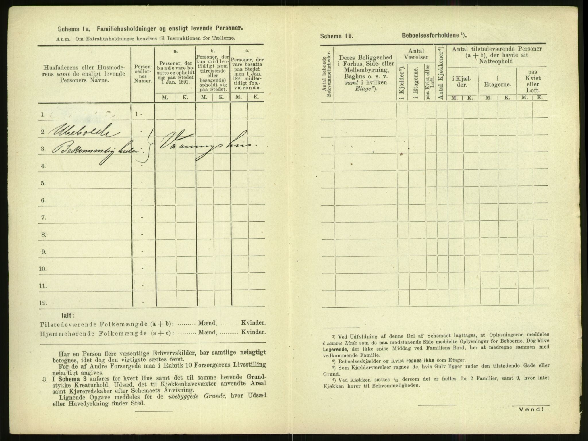 RA, 1891 census for 1002 Mandal, 1891, p. 966