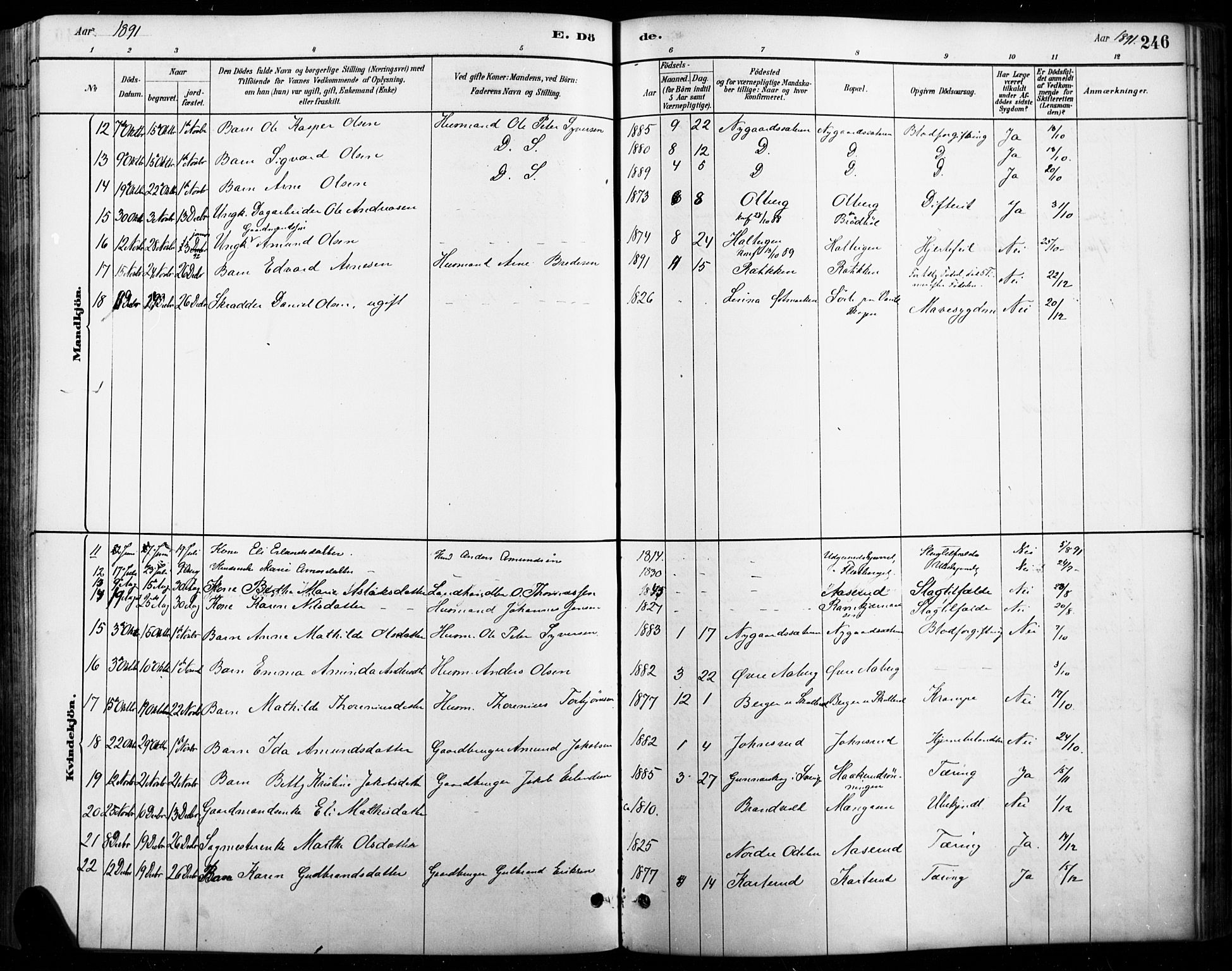 Vinger prestekontor, AV/SAH-PREST-024/H/Ha/Haa/L0015: Parish register (official) no. 15, 1881-1900, p. 246