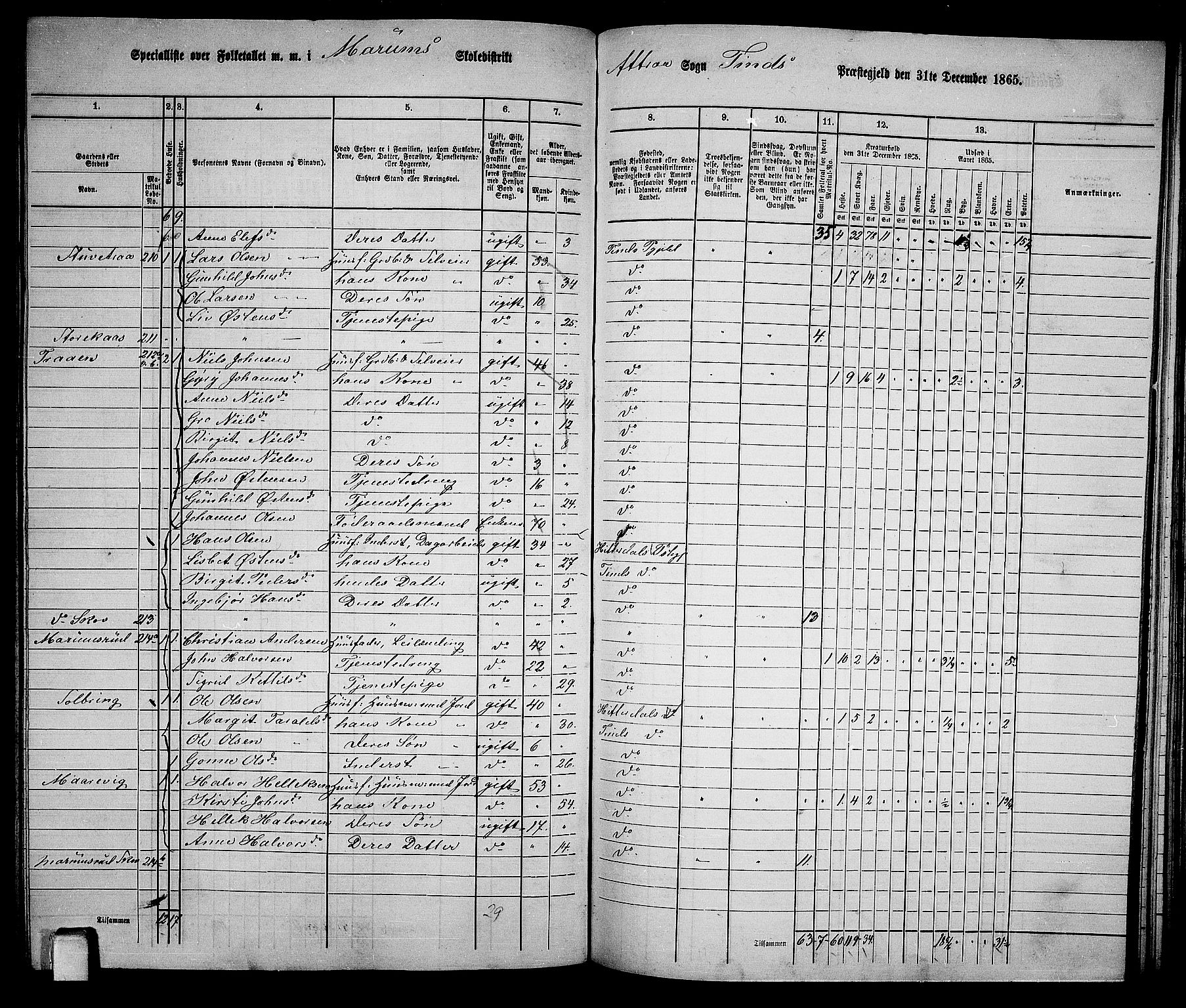 RA, 1865 census for Tinn, 1865, p. 63