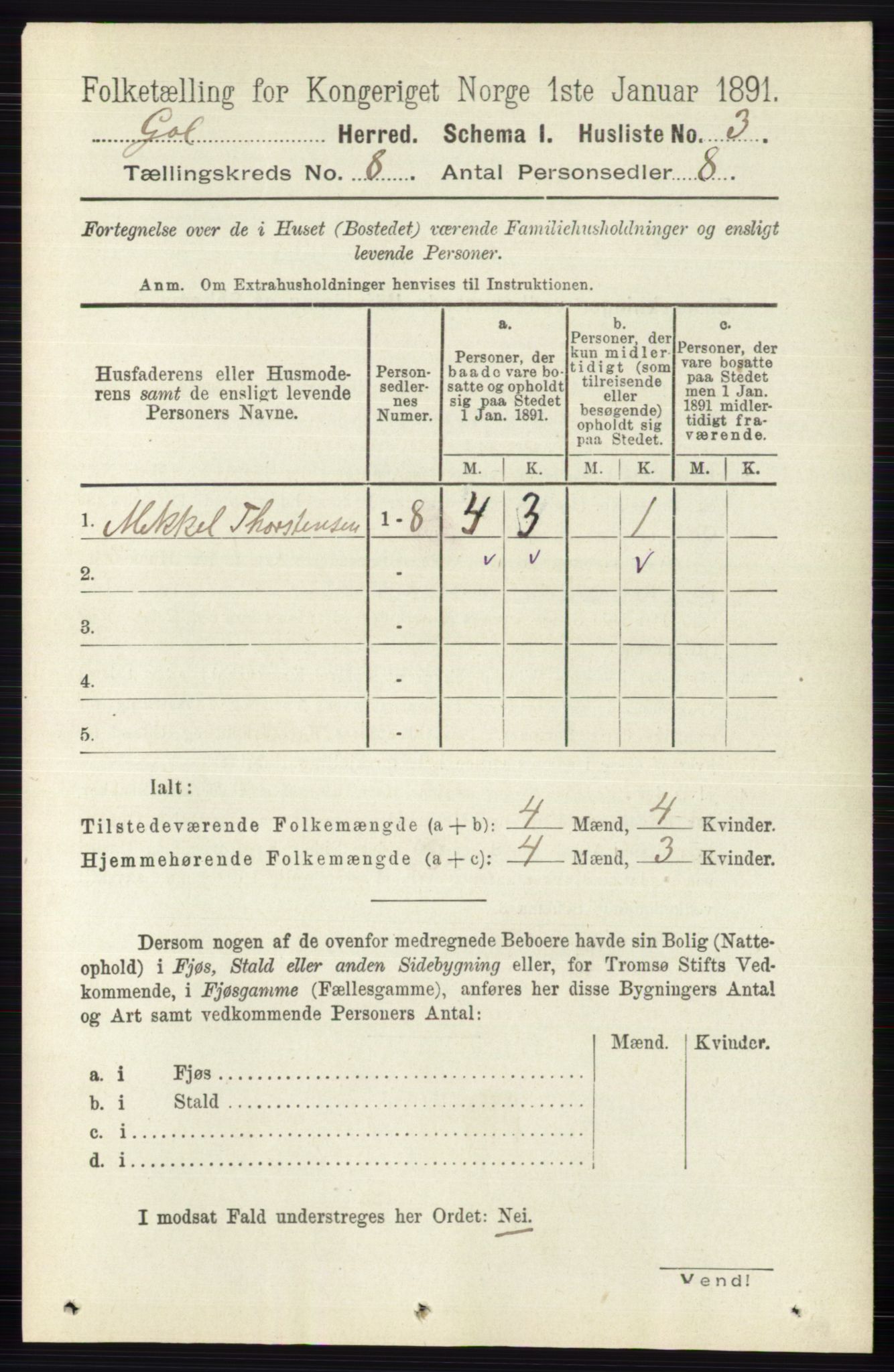 RA, 1891 census for 0617 Gol og Hemsedal, 1891, p. 2984