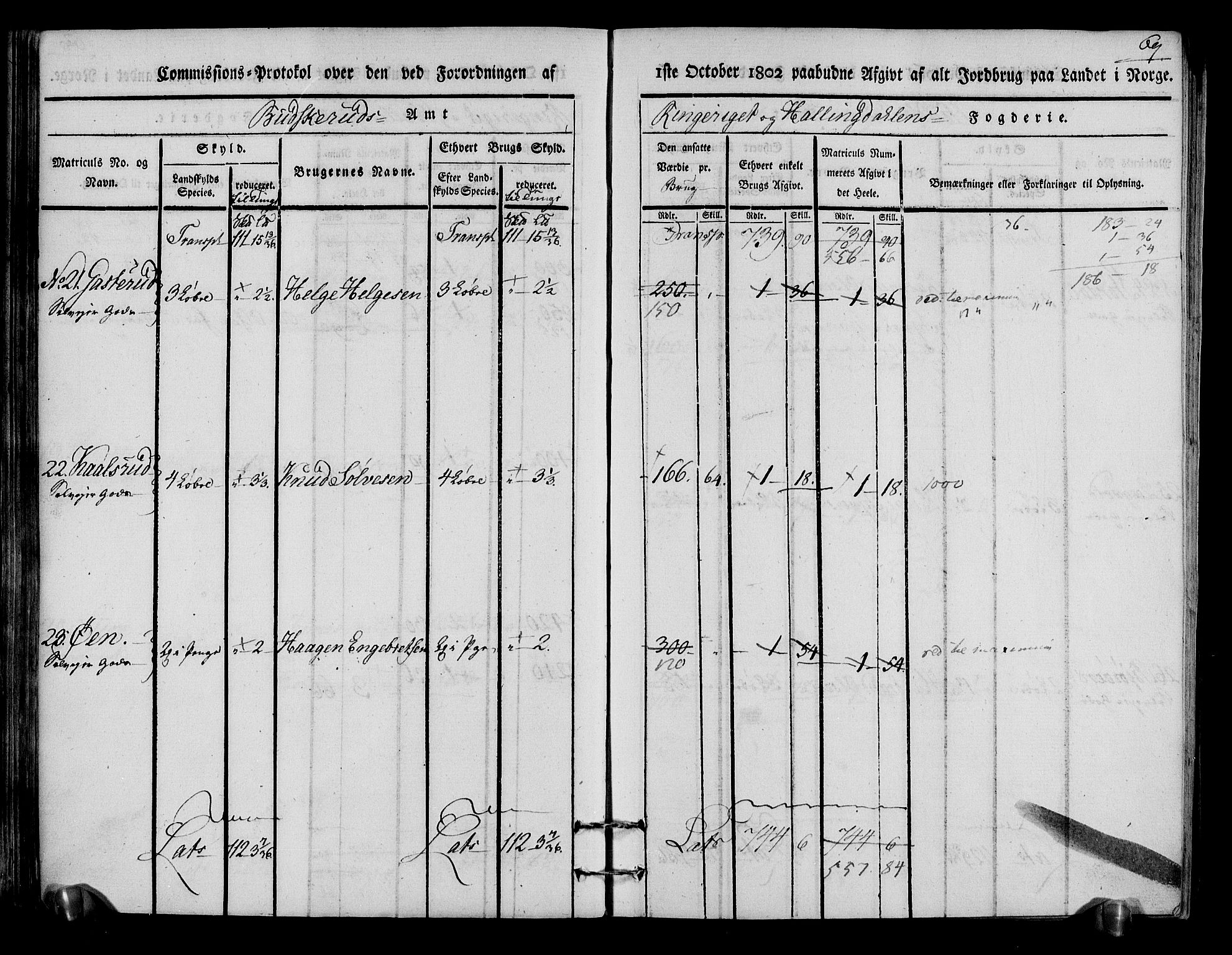 Rentekammeret inntil 1814, Realistisk ordnet avdeling, AV/RA-EA-4070/N/Ne/Nea/L0048: Ringerike og Hallingdal fogderi. Kommisjonsprotokoll for Ål prestegjeld, 1803, p. 73