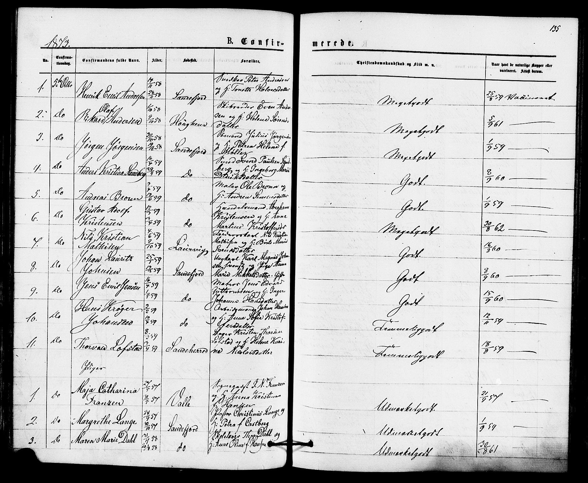 Sandefjord kirkebøker, SAKO/A-315/F/Fa/L0001: Parish register (official) no. 1, 1873-1879, p. 135