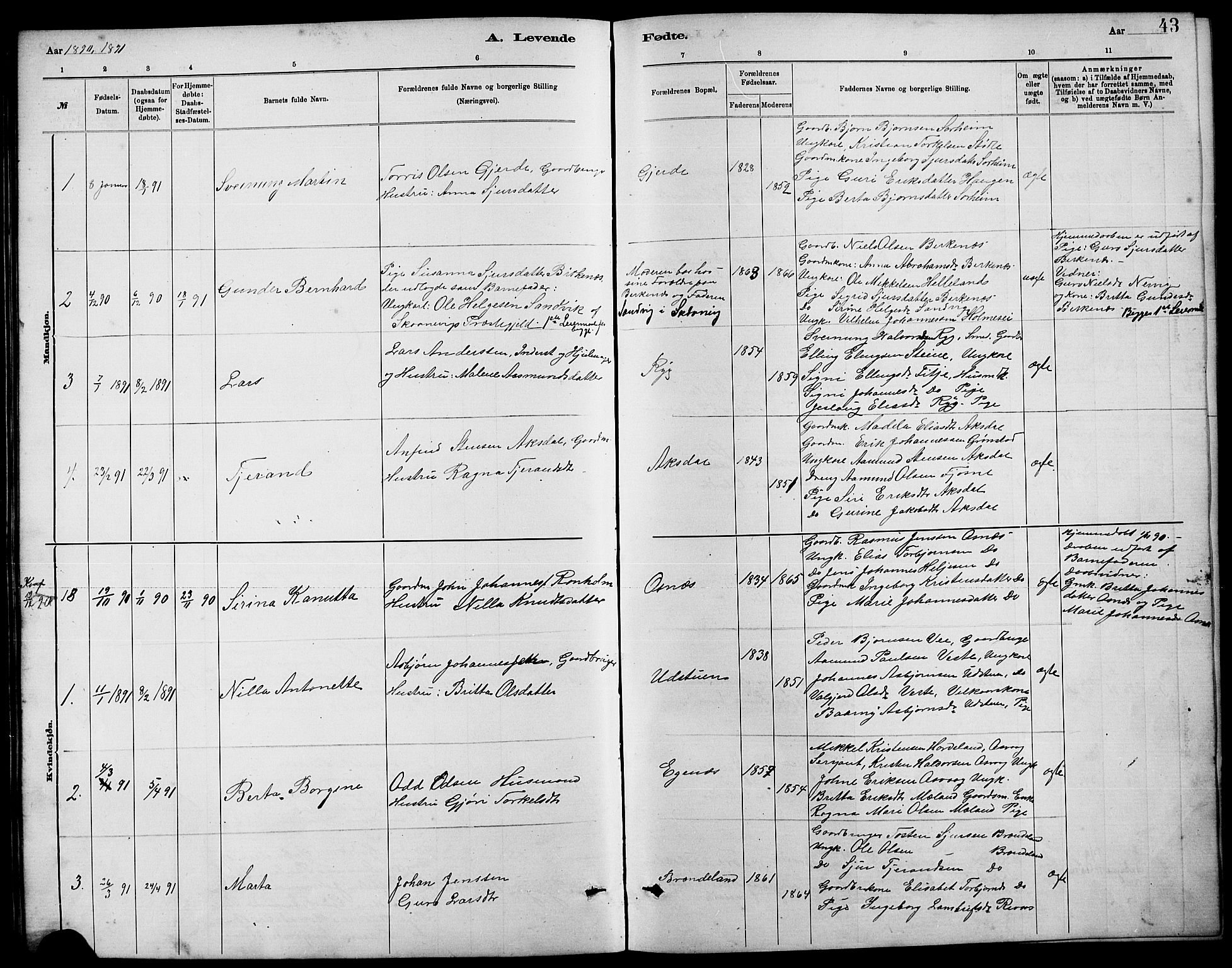 Etne sokneprestembete, SAB/A-75001/H/Hab: Parish register (copy) no. B 4, 1879-1897, p. 43
